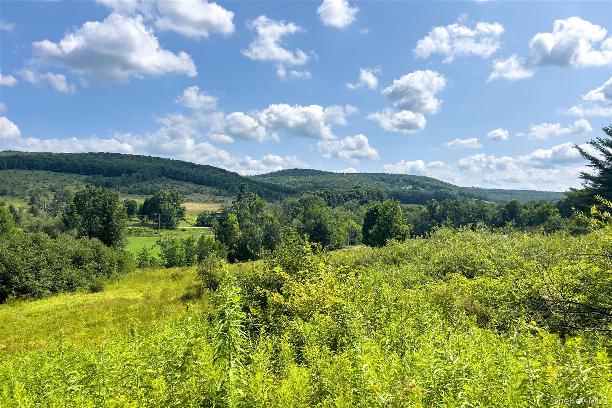 Lot #11 Franklin Depot Road Property Photo 24