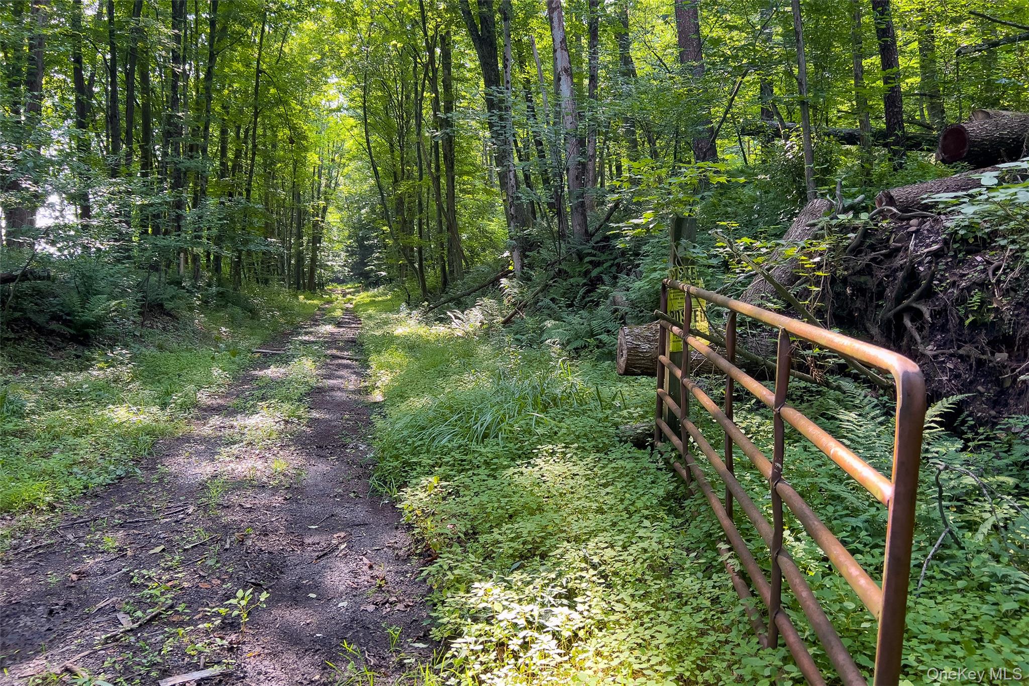 Lot #11 Franklin Depot Road Property Photo 26