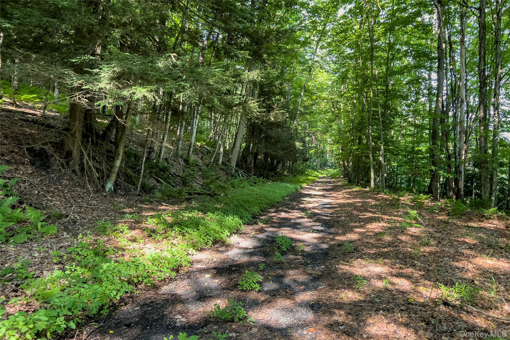 Lot #11 Franklin Depot Road Property Photo 27