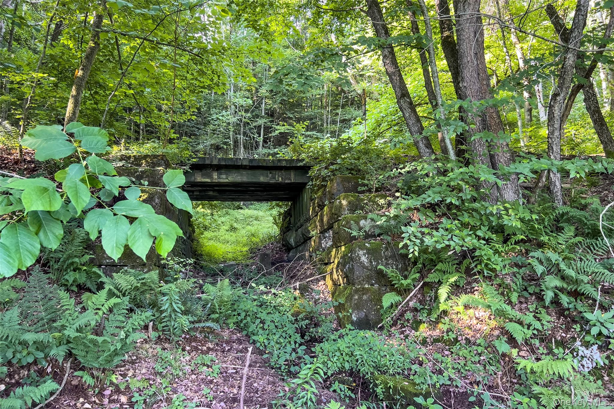 Lot #11 Franklin Depot Road Property Photo 28