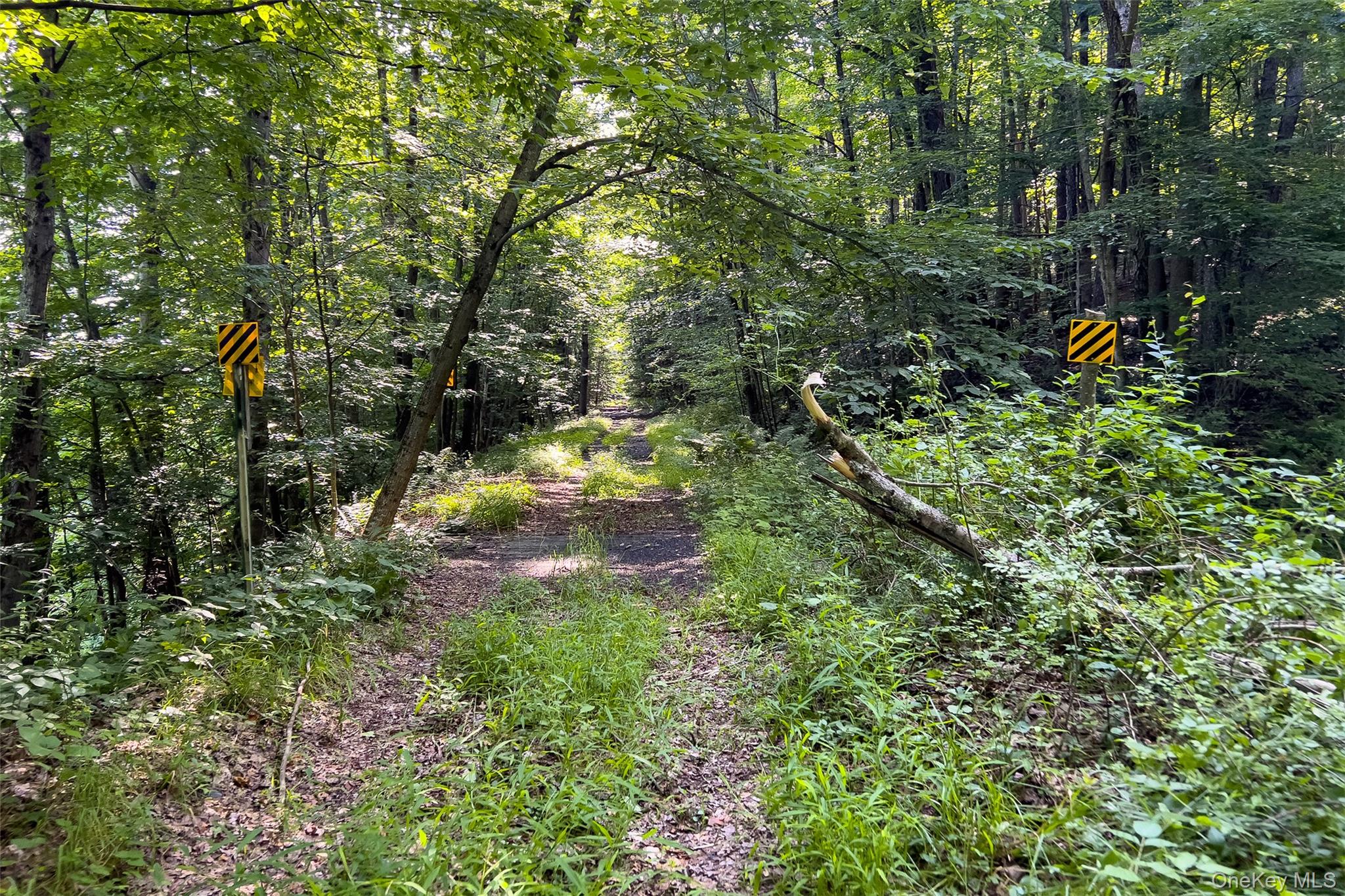 Lot #11 Franklin Depot Road Property Photo 30