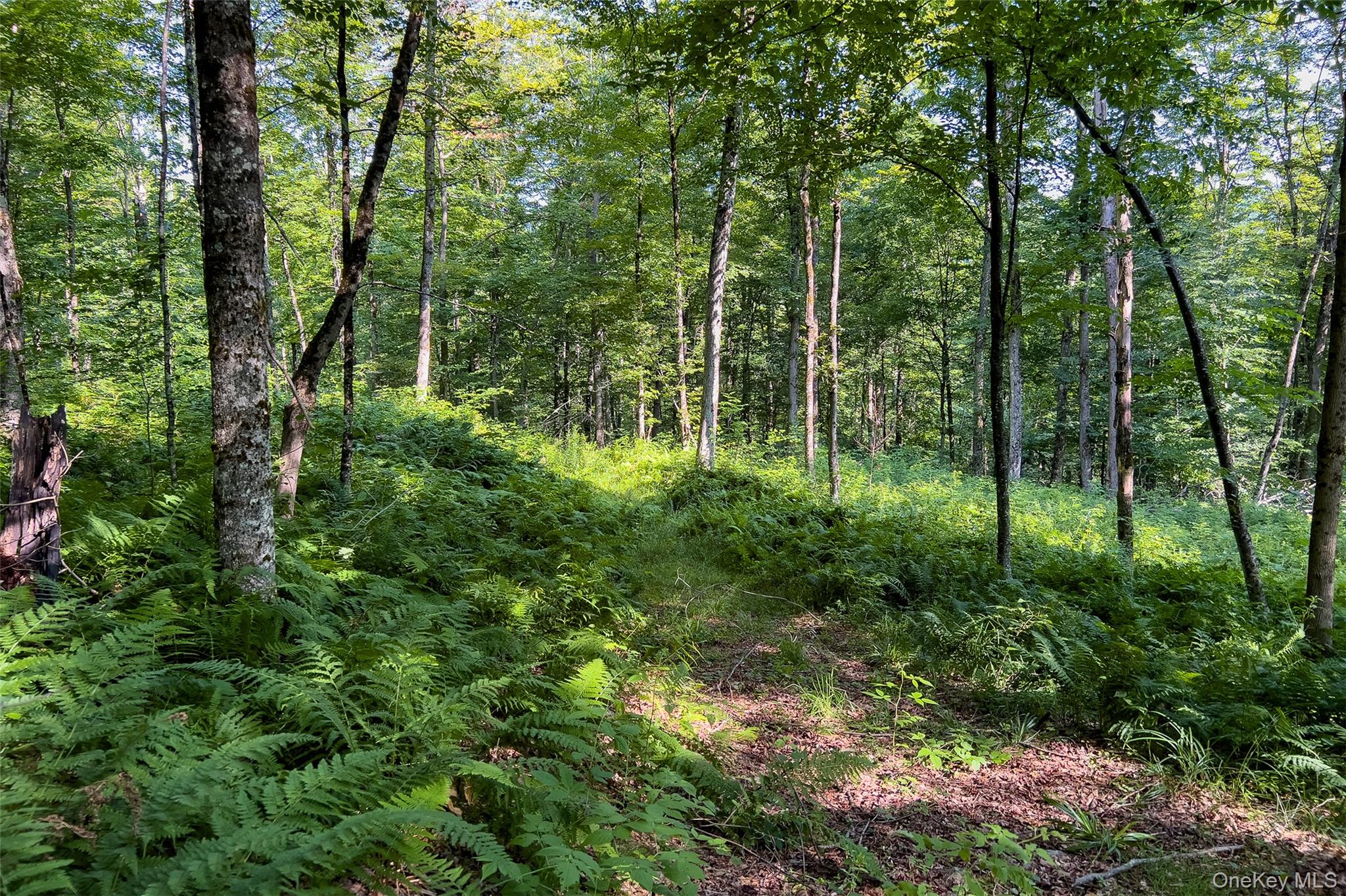 Lot #11 Franklin Depot Road Property Photo 35