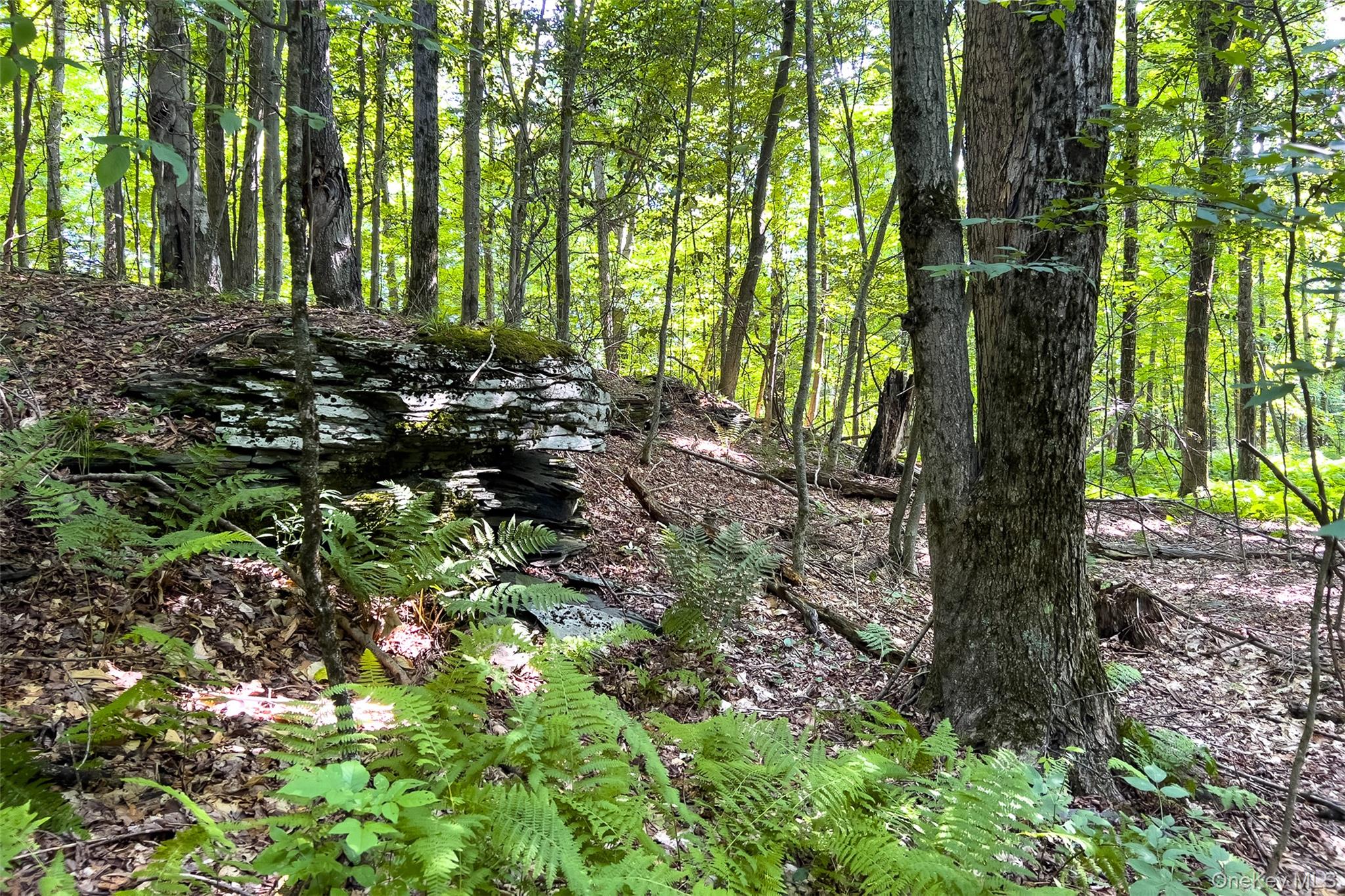 Lot #11 Franklin Depot Road Property Photo 36