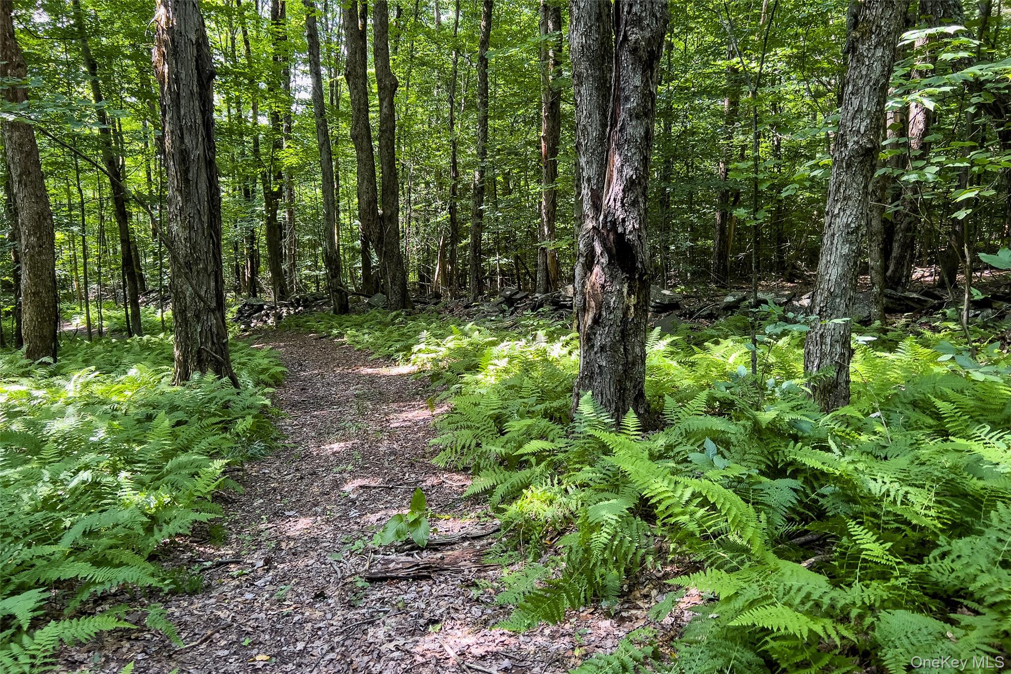 Lot #11 Franklin Depot Road Property Photo 38