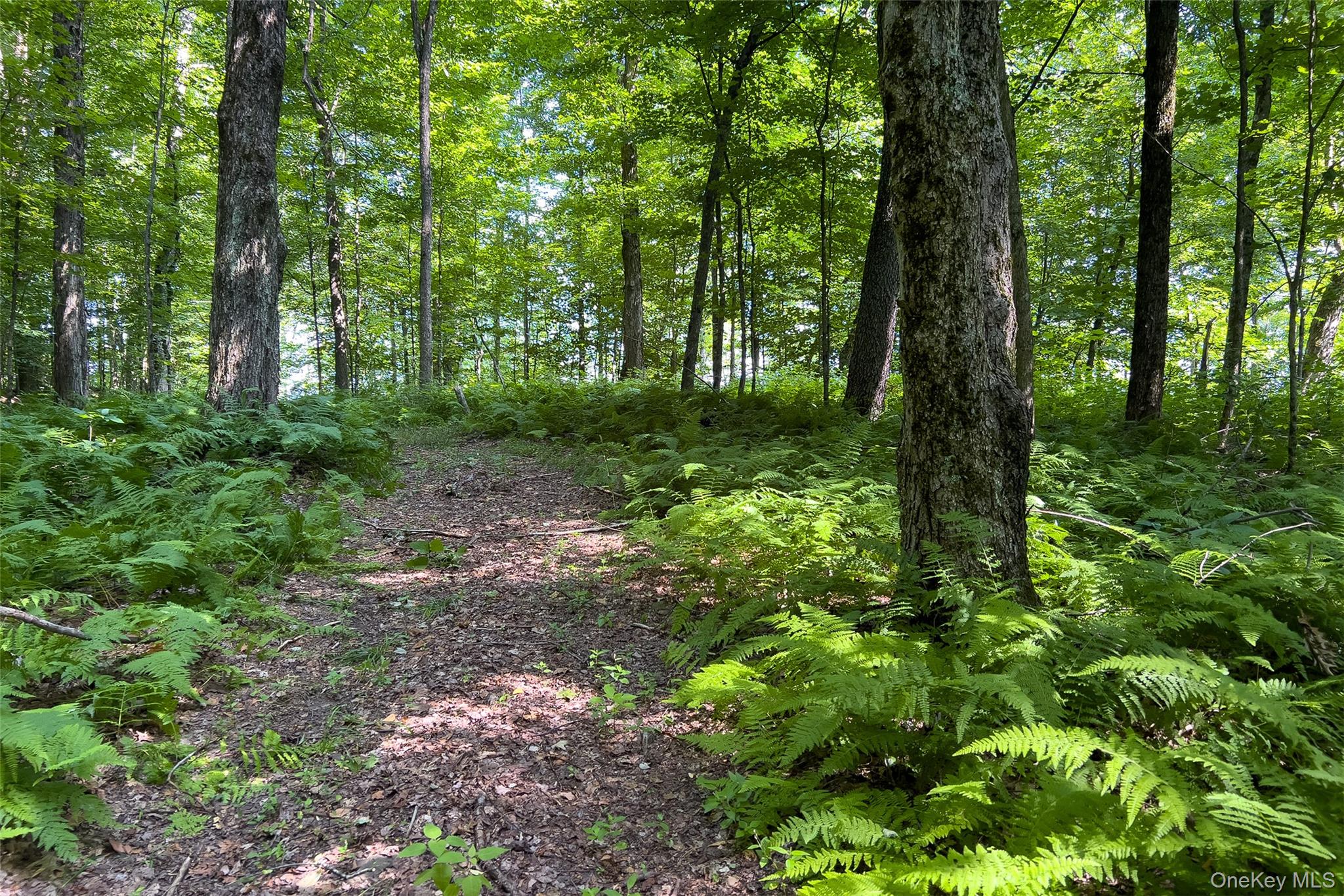 Lot #11 Franklin Depot Road Property Photo 39