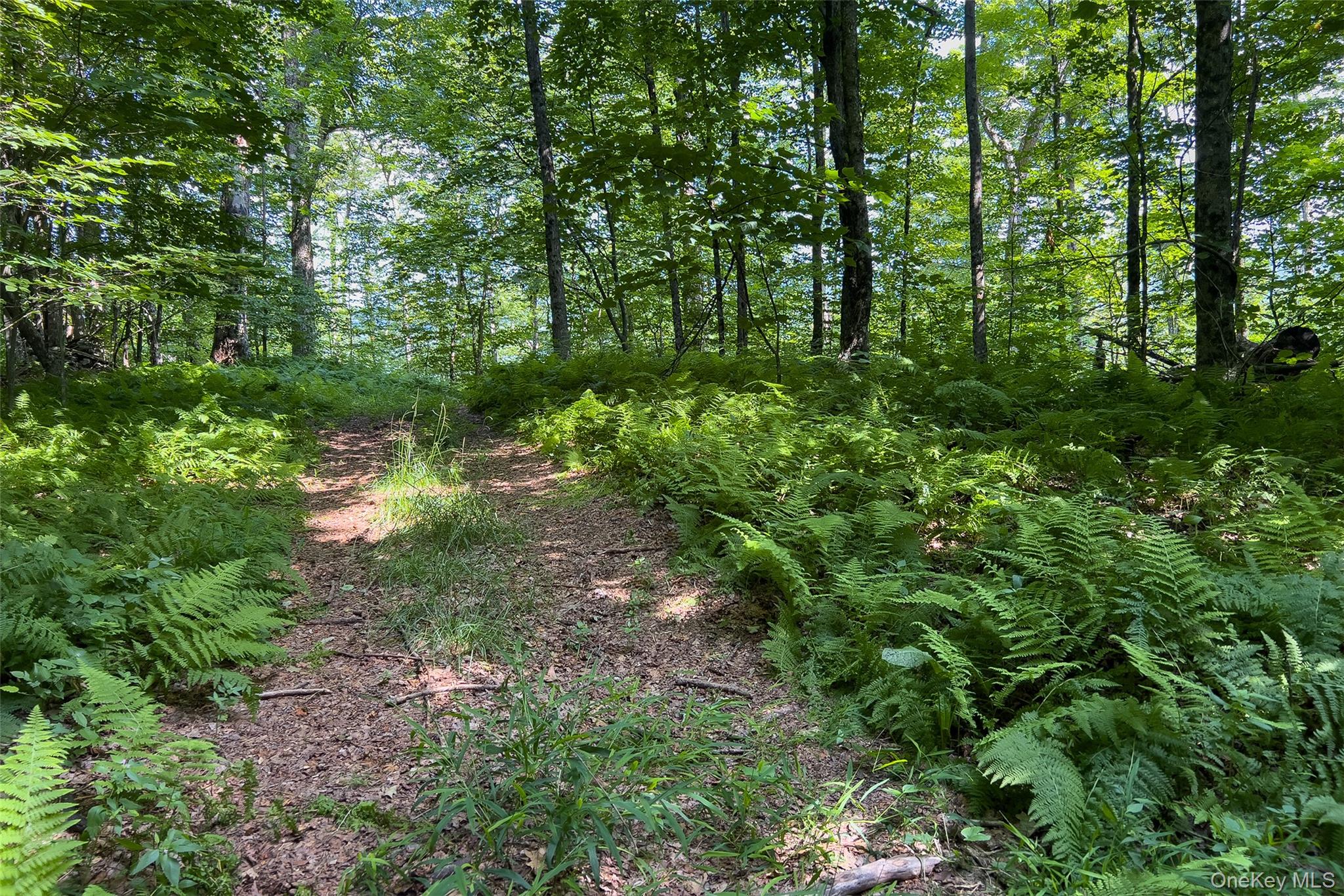 Lot #11 Franklin Depot Road Property Photo 40