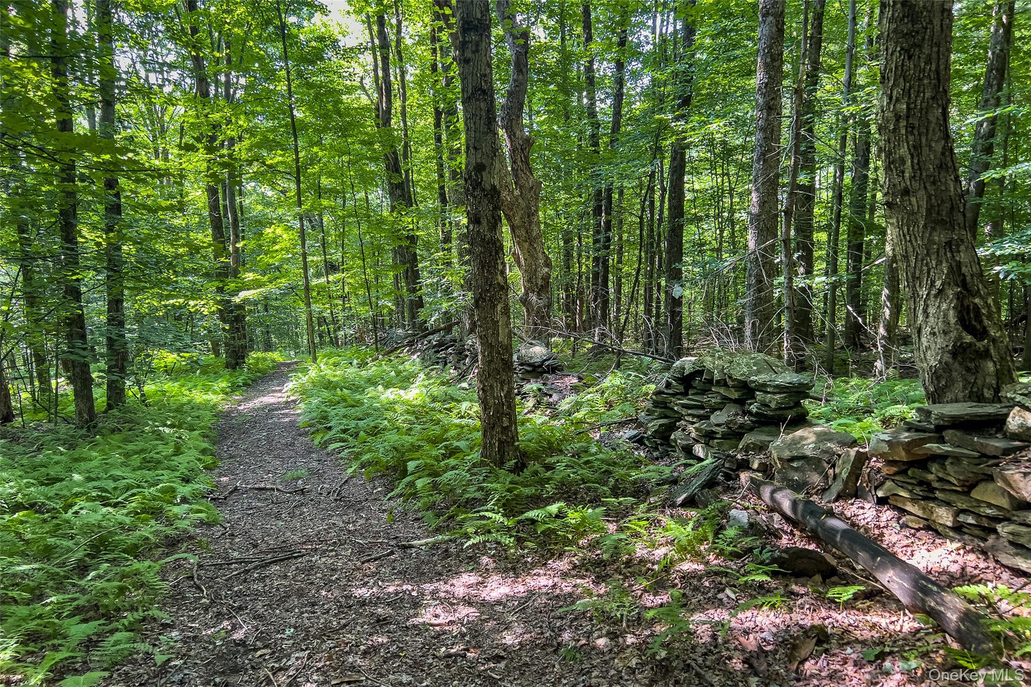 Lot #11 Franklin Depot Road Property Photo 41