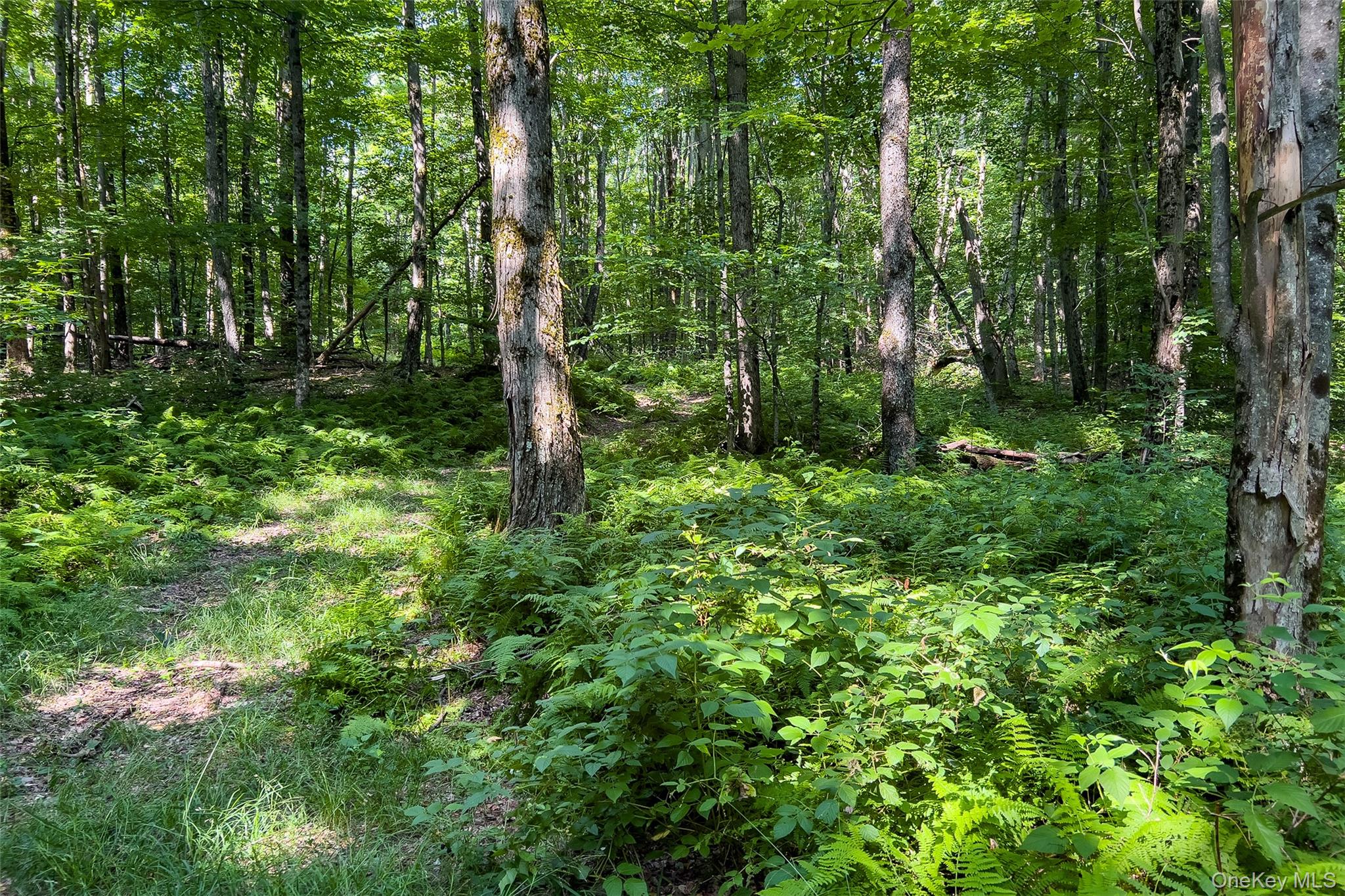 Lot #11 Franklin Depot Road Property Photo 43