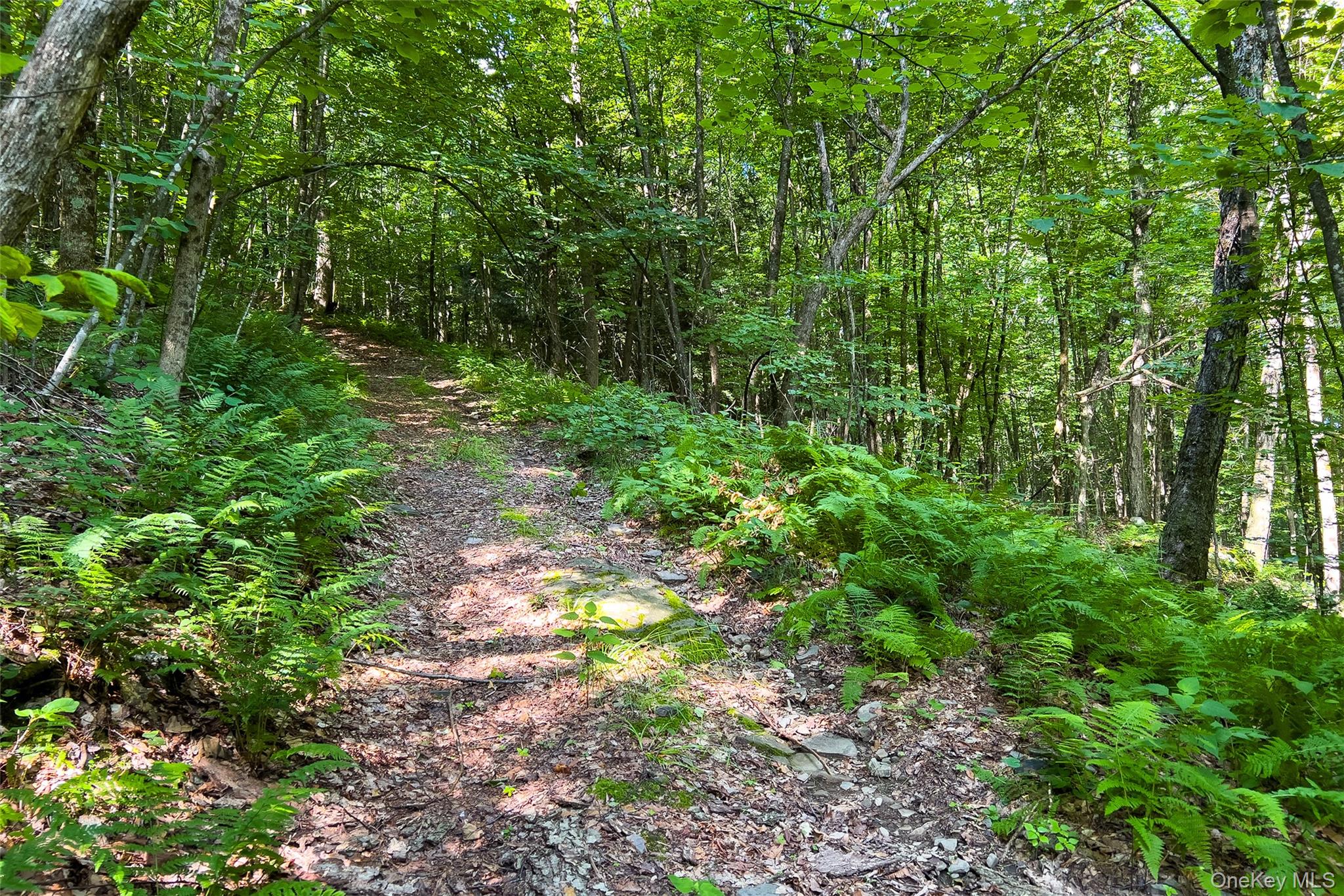 Lot #11 Franklin Depot Road Property Photo 44