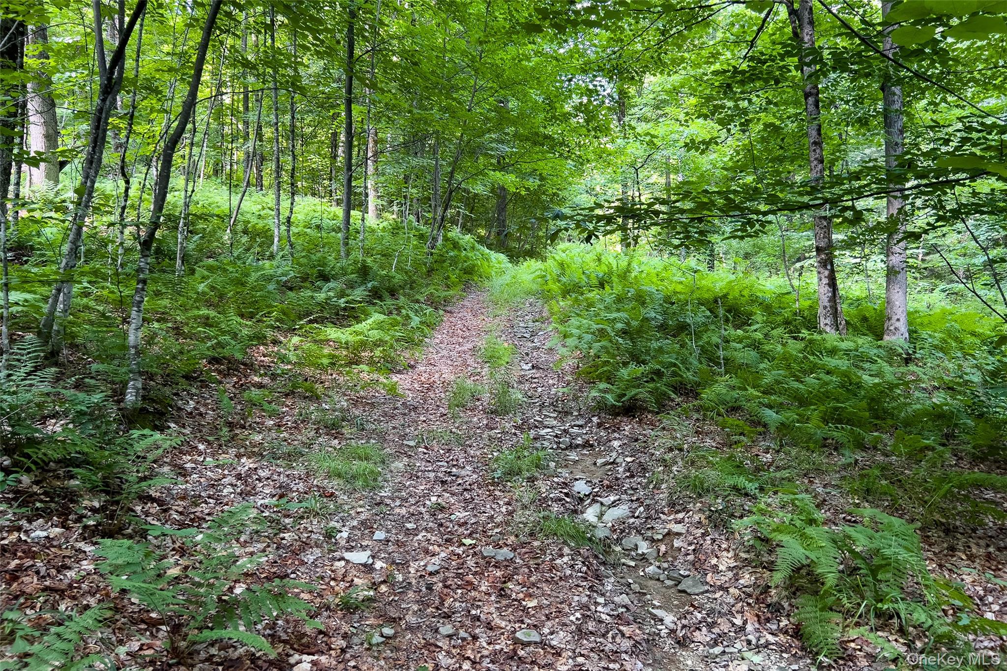 Lot #11 Franklin Depot Road Property Photo 45