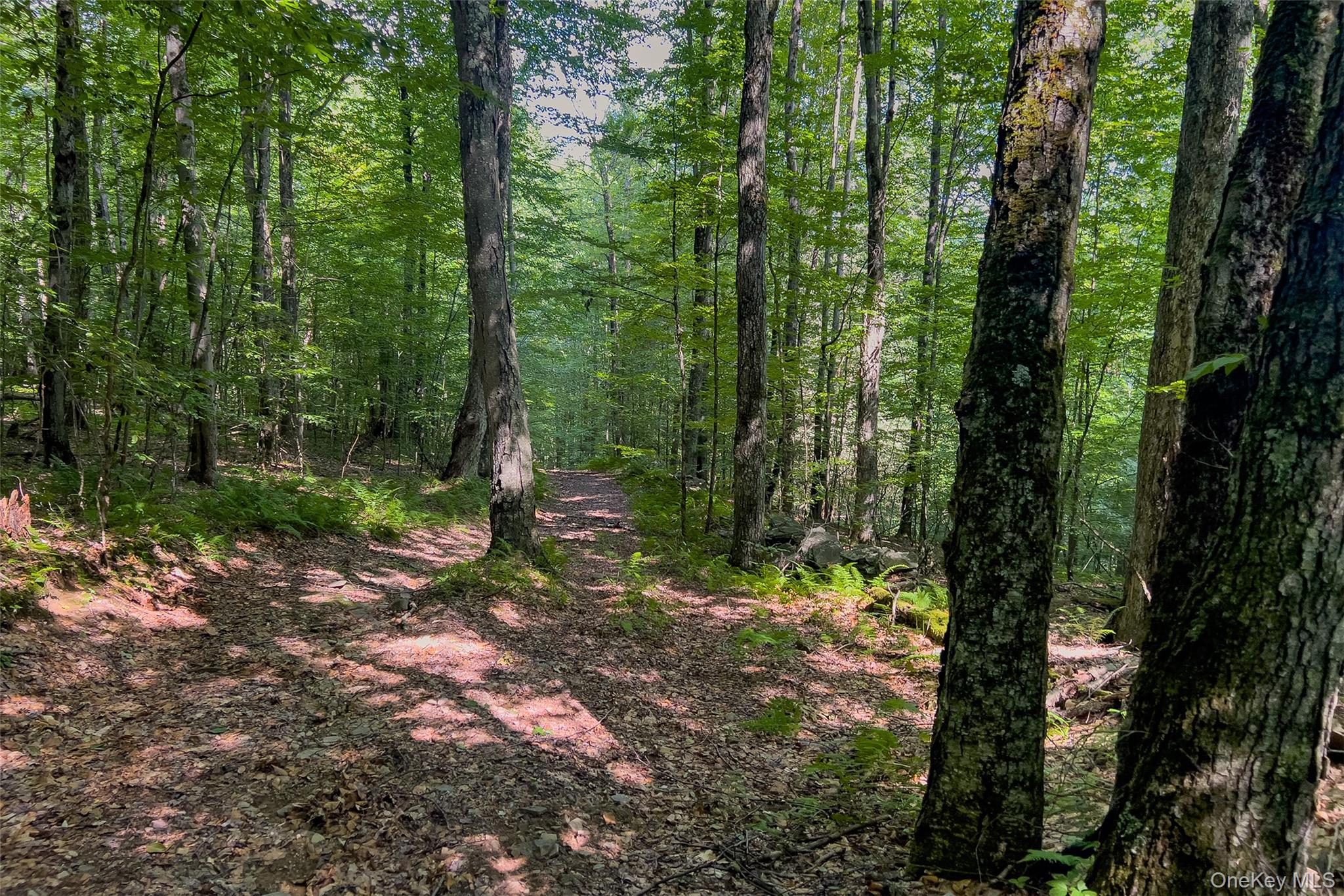 Lot #11 Franklin Depot Road Property Photo 47