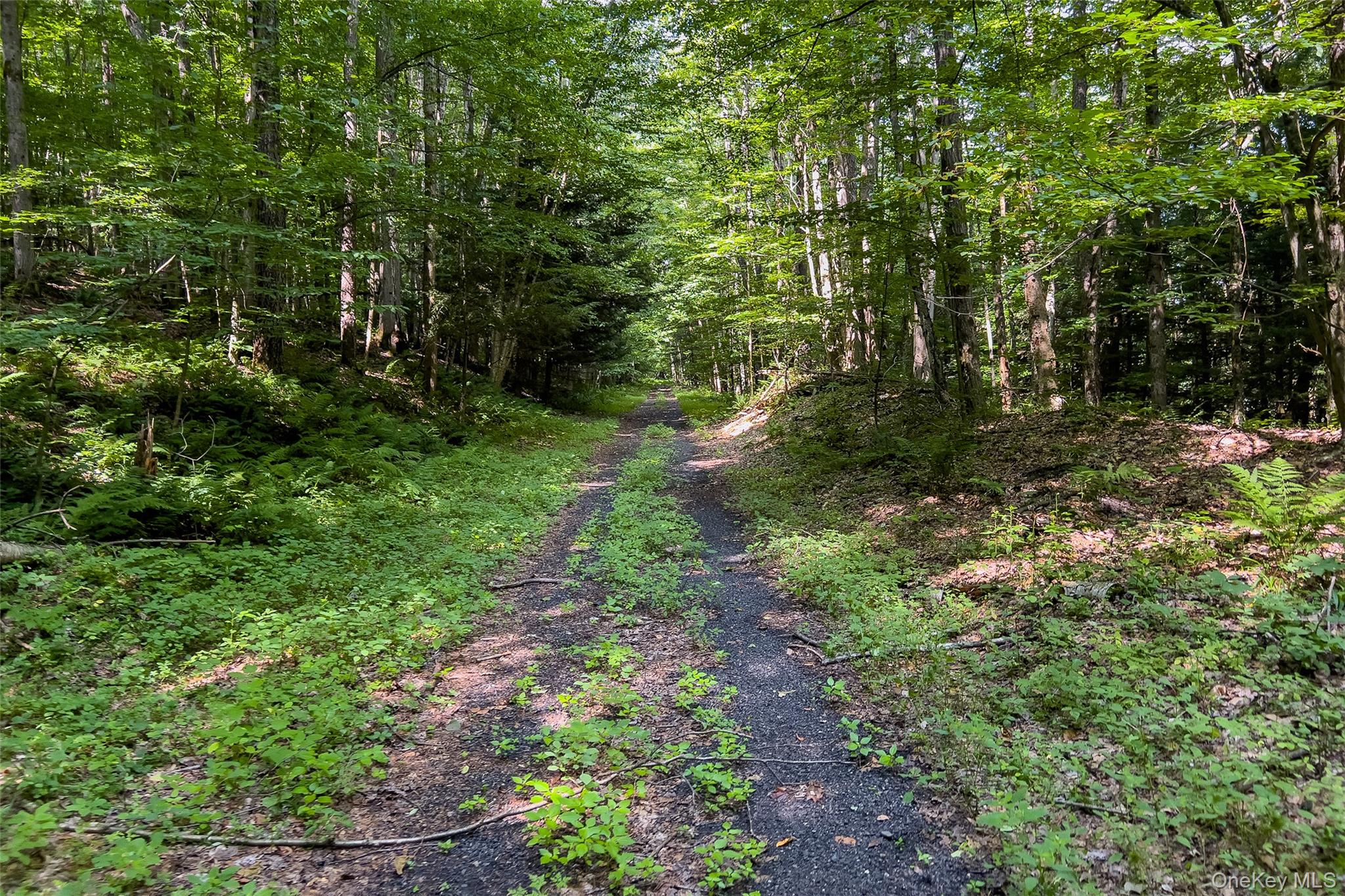 Lot #11 Franklin Depot Road Property Photo 49