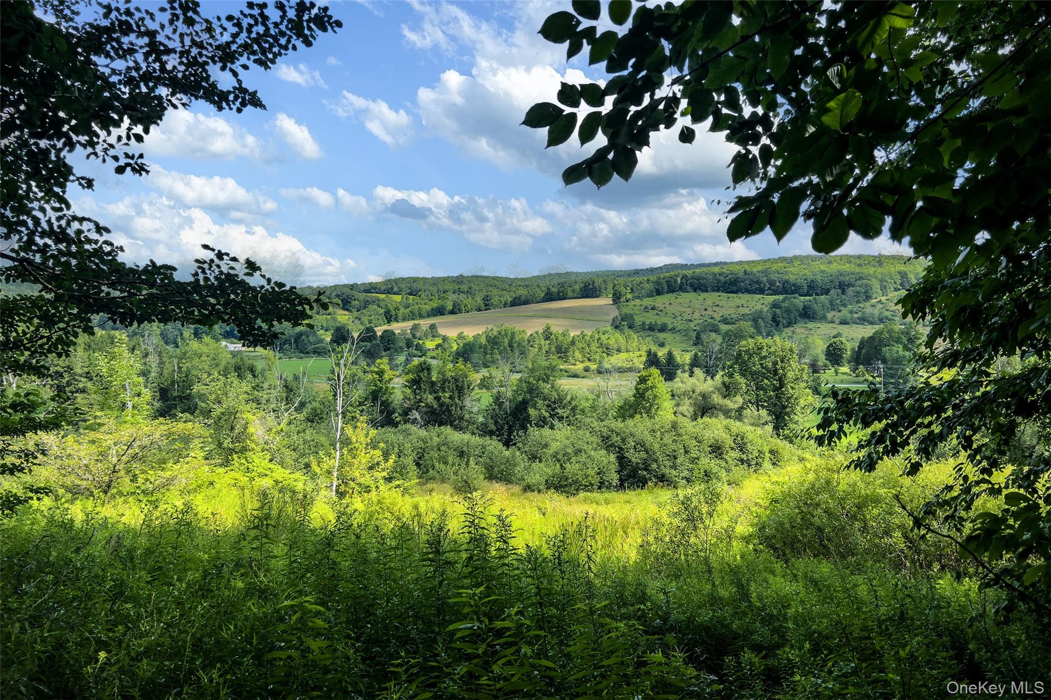 Lot #11 Franklin Depot Road Property Photo 50