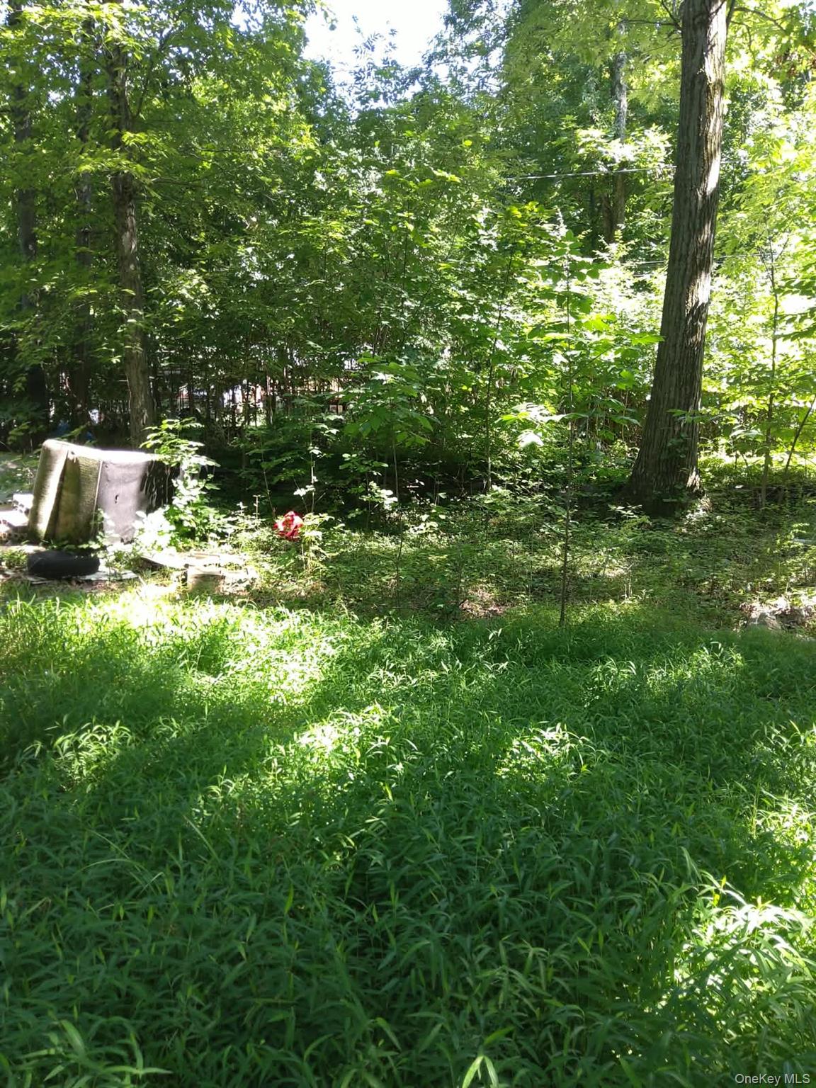 90 Arcadian Trail Property Photo 13