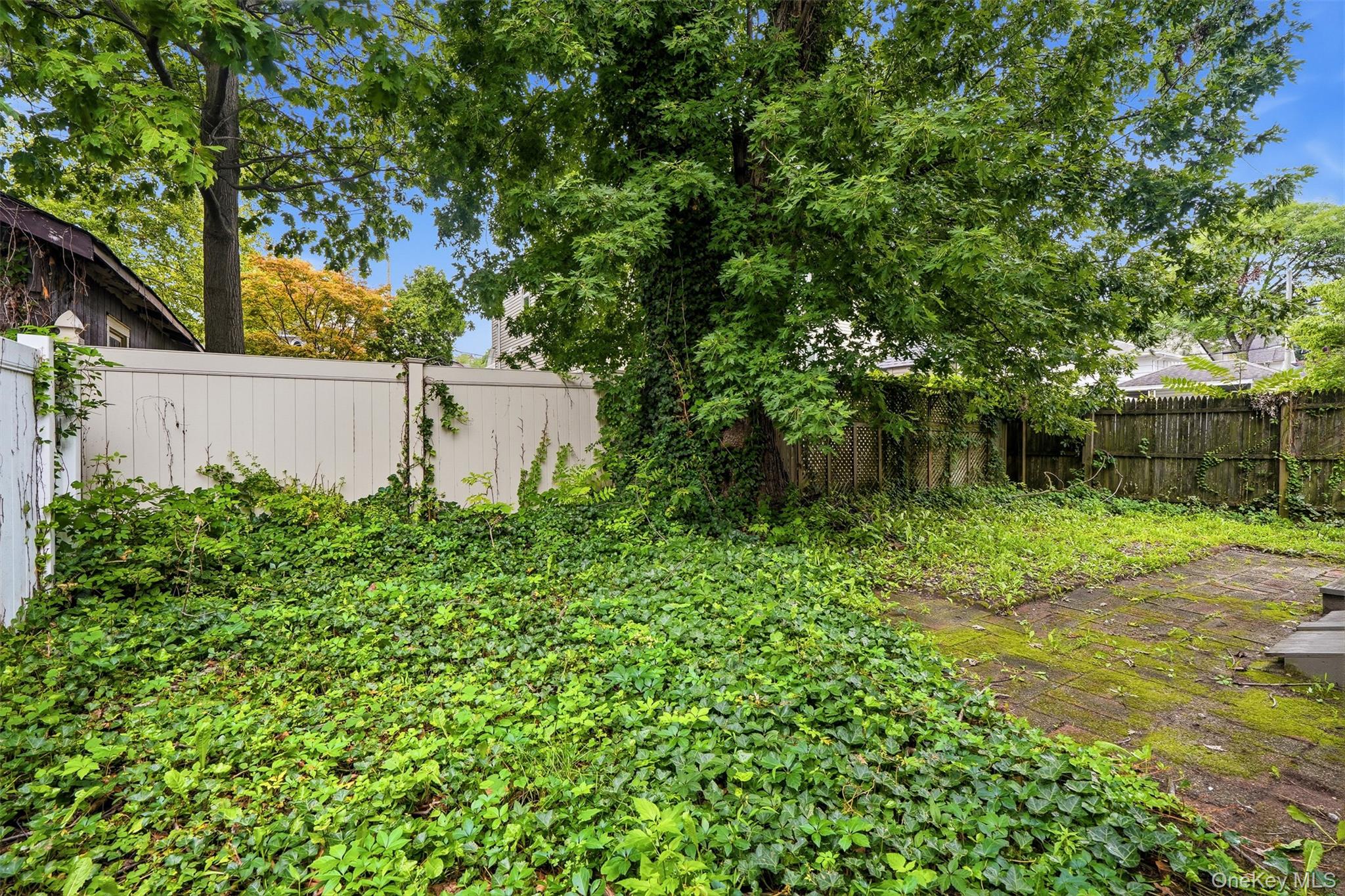 215 Demorest Avenue Property Photo 40