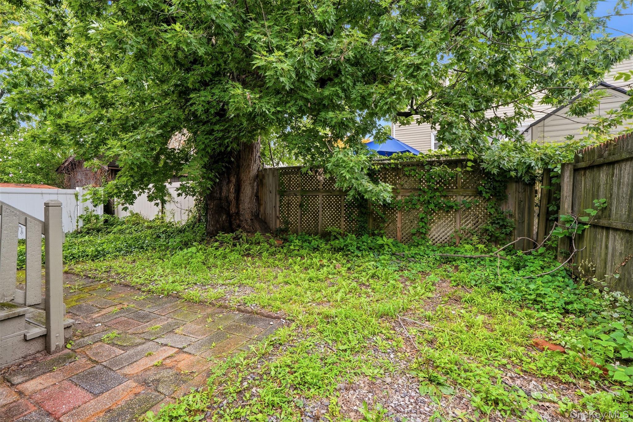 215 Demorest Avenue Property Photo 41