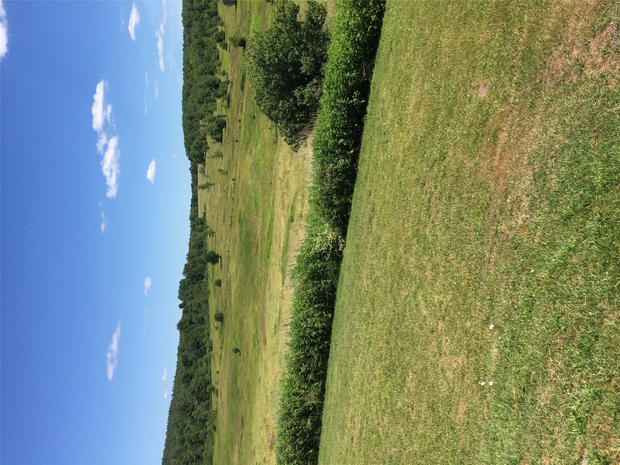 2614 Turnpike Road Property Photo 31