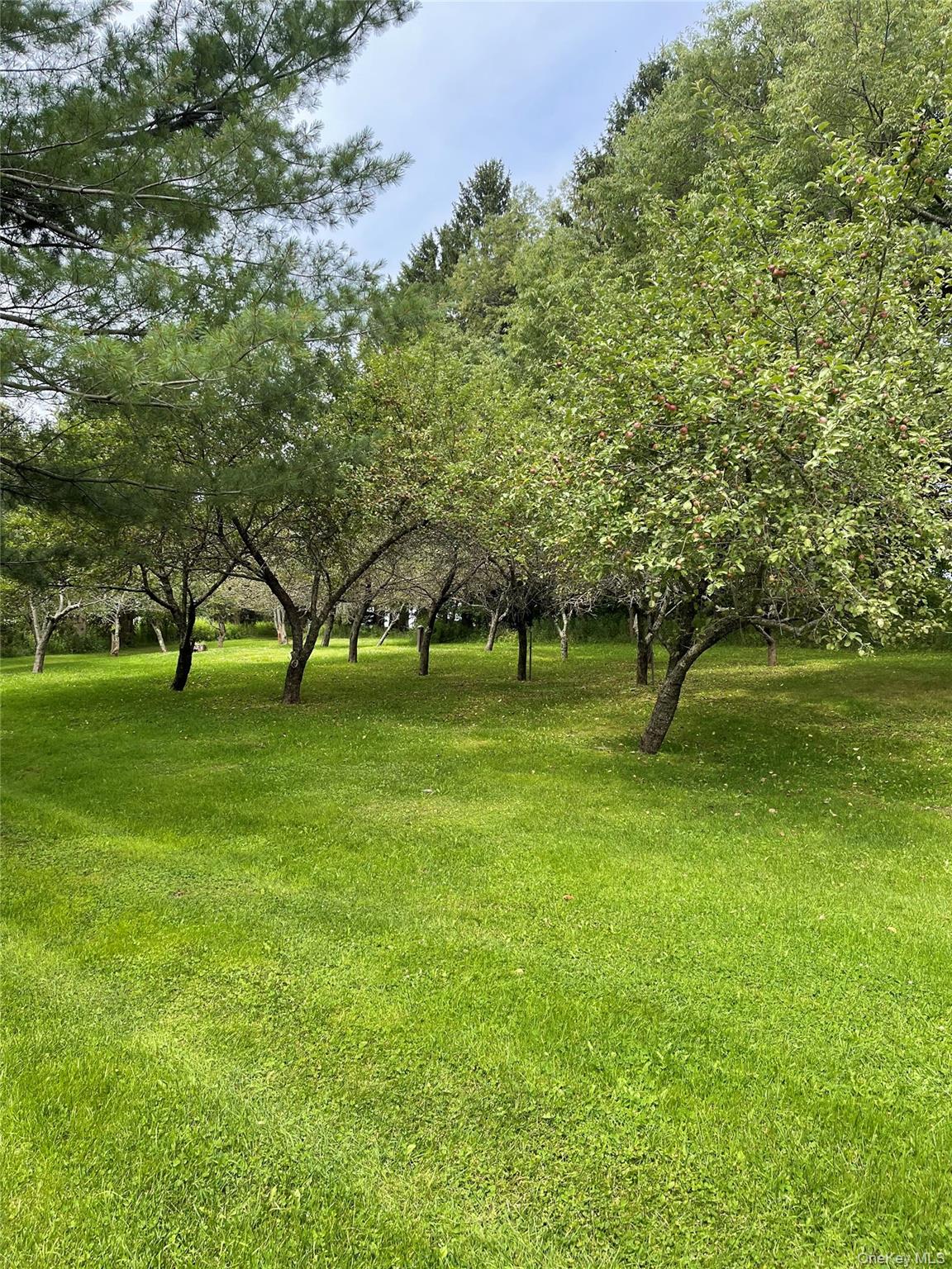 2614 Turnpike Road Property Photo 46