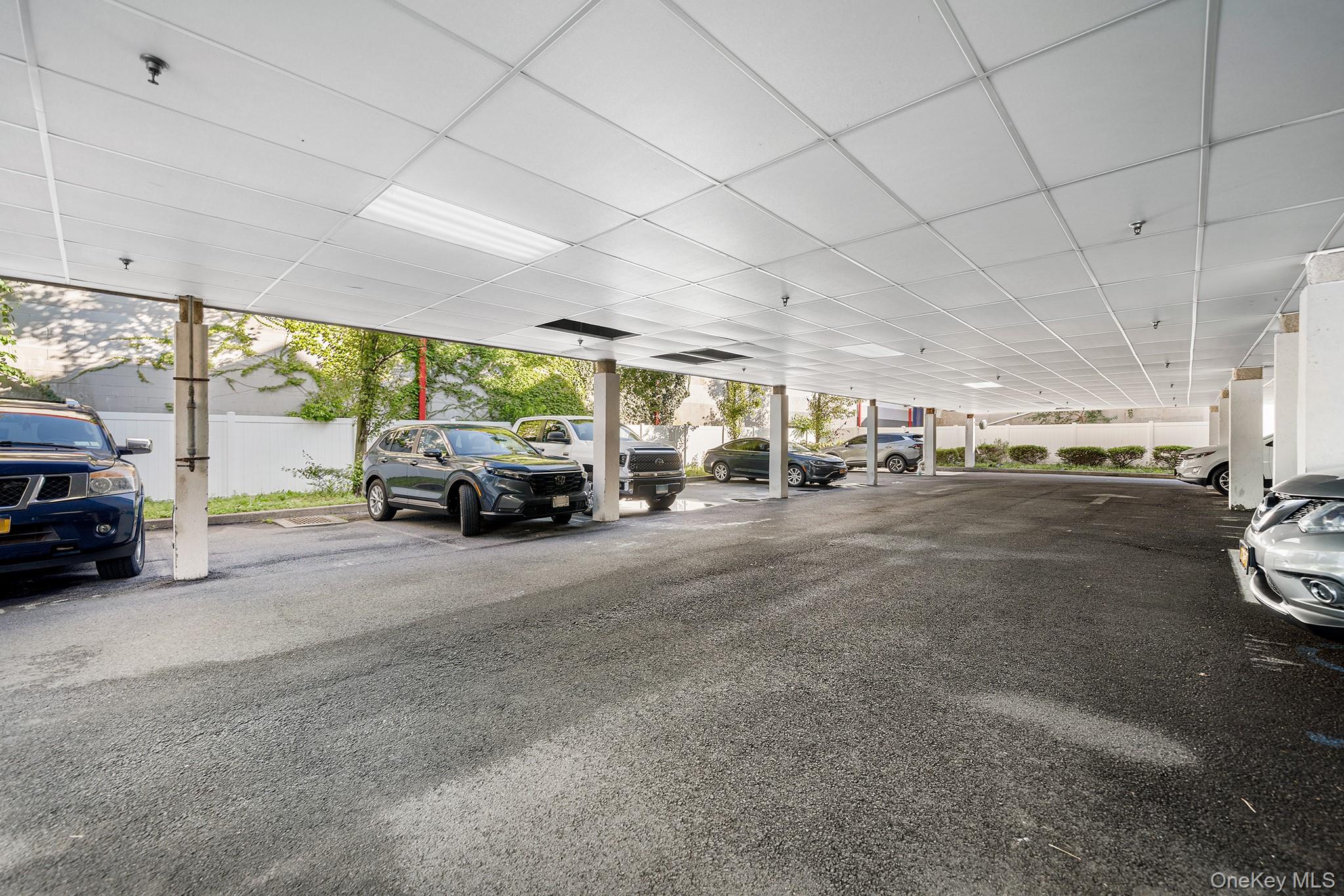 5 Minerva Place 2c Property Photo 26
