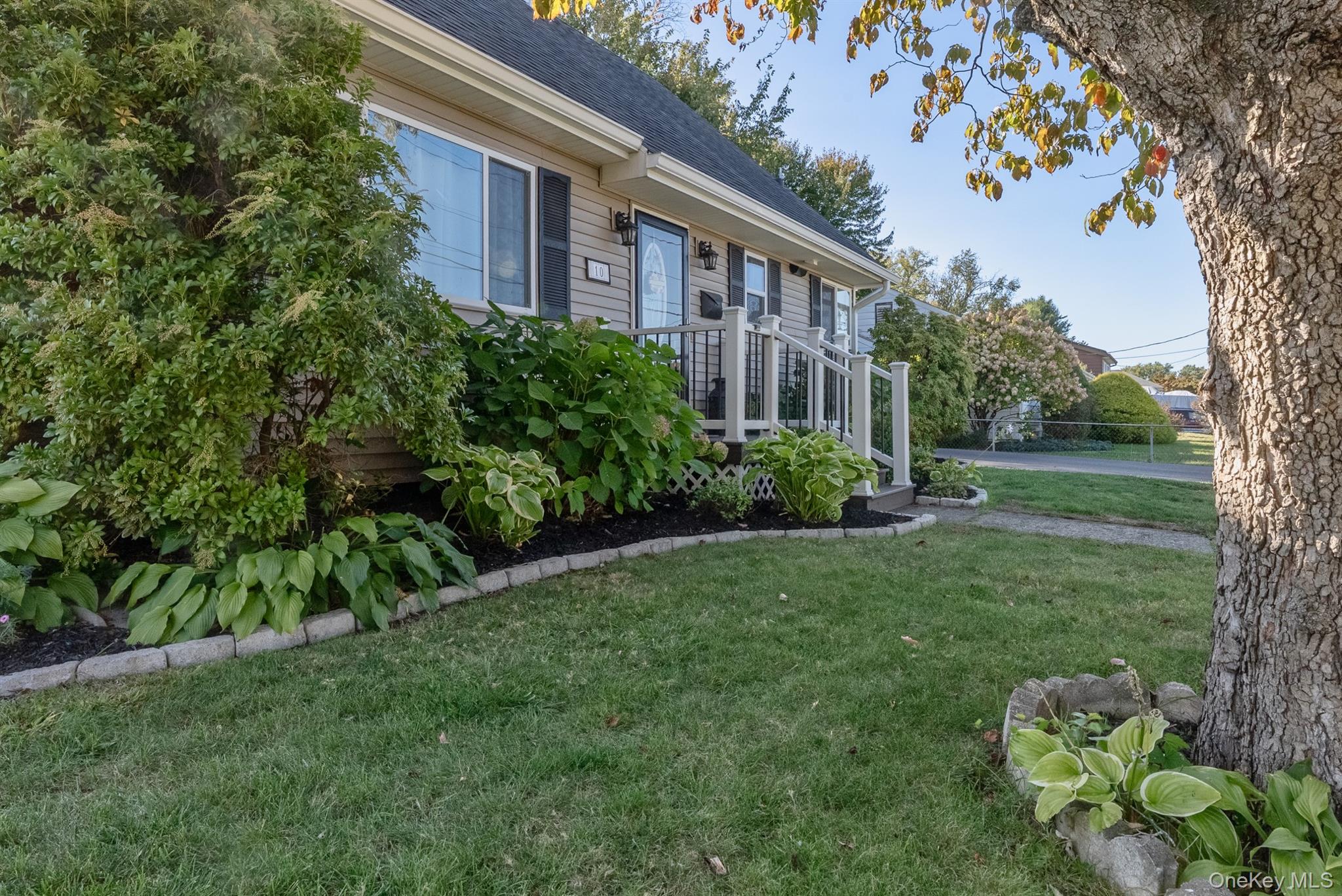 10 Lipton Street Property Photo 16