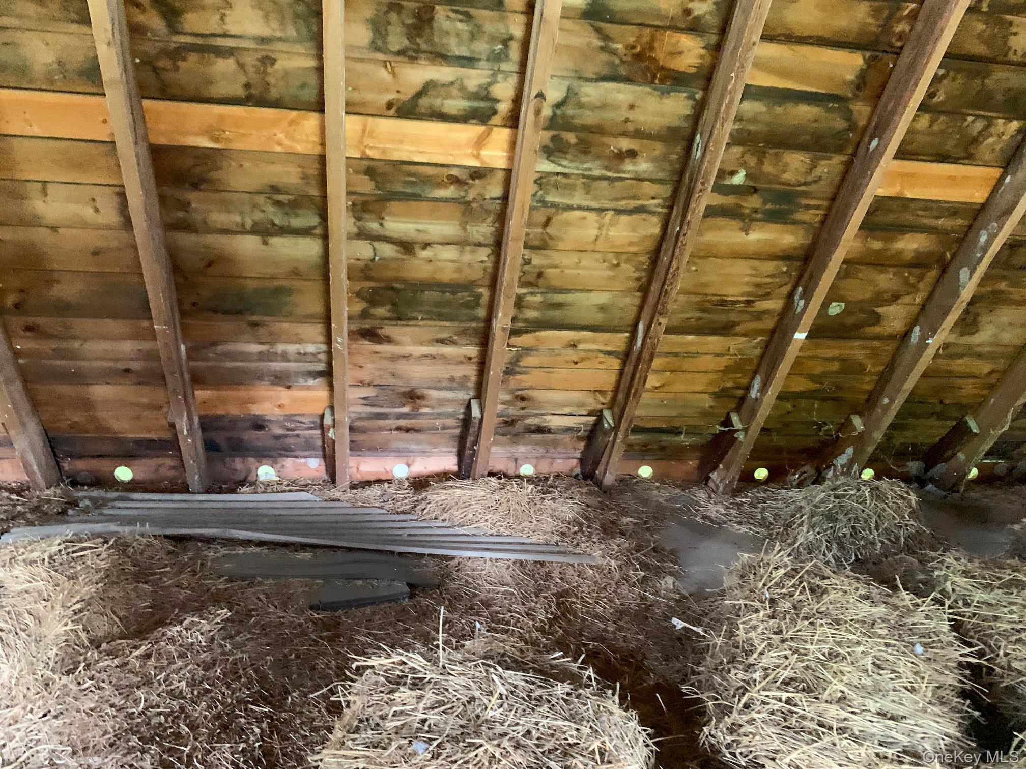 151 Homan Road Property Photo 13