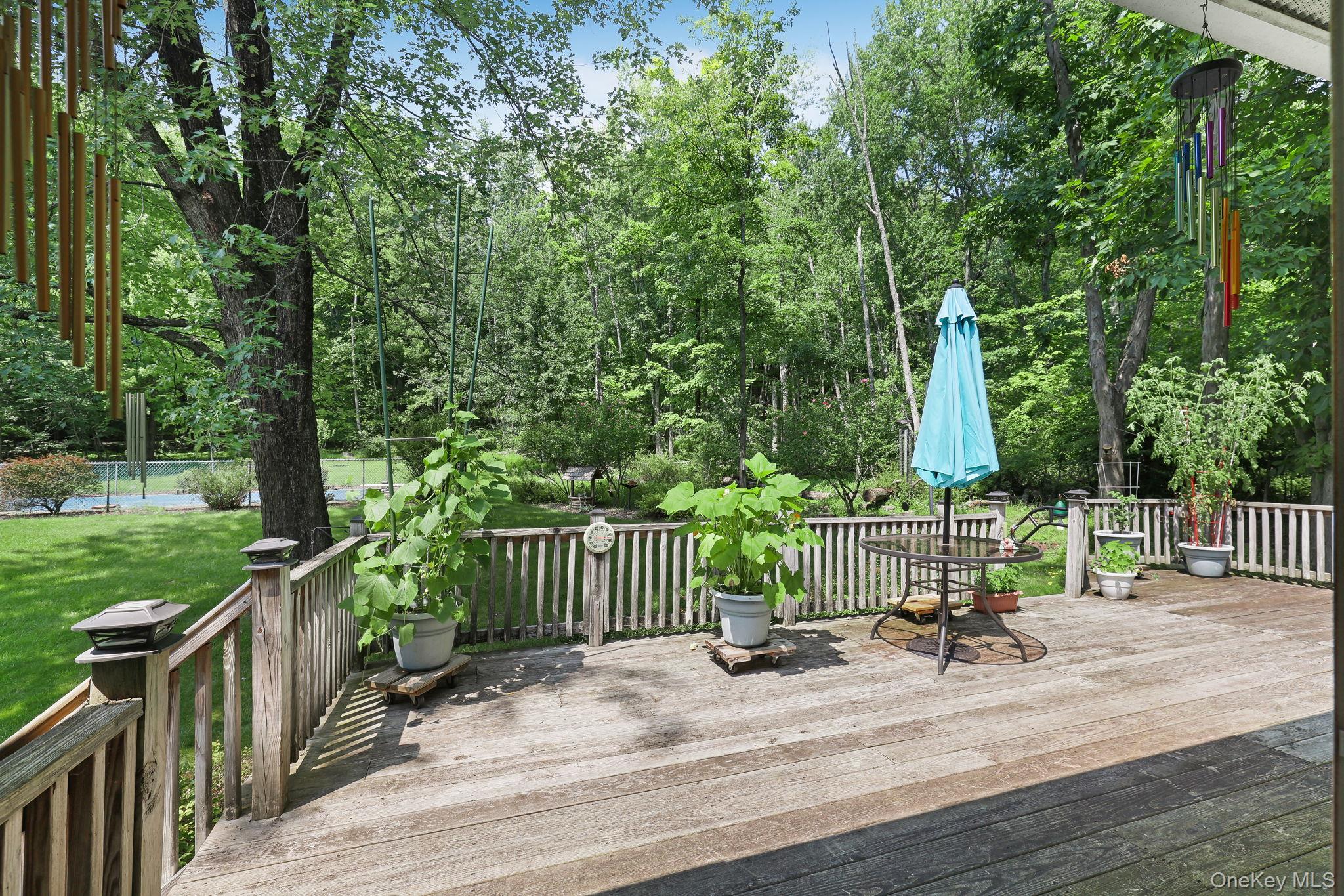 2333 Mountain Road Property Photo 18