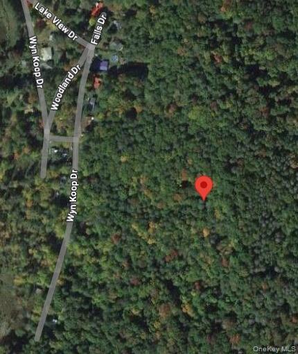 Woodland Road Property Photo 2