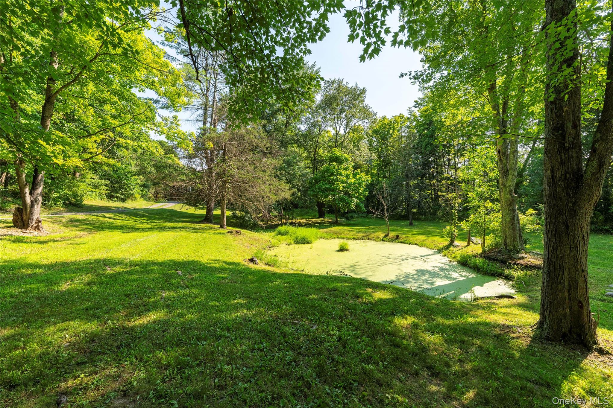 71 W Pine Road Property Photo 42