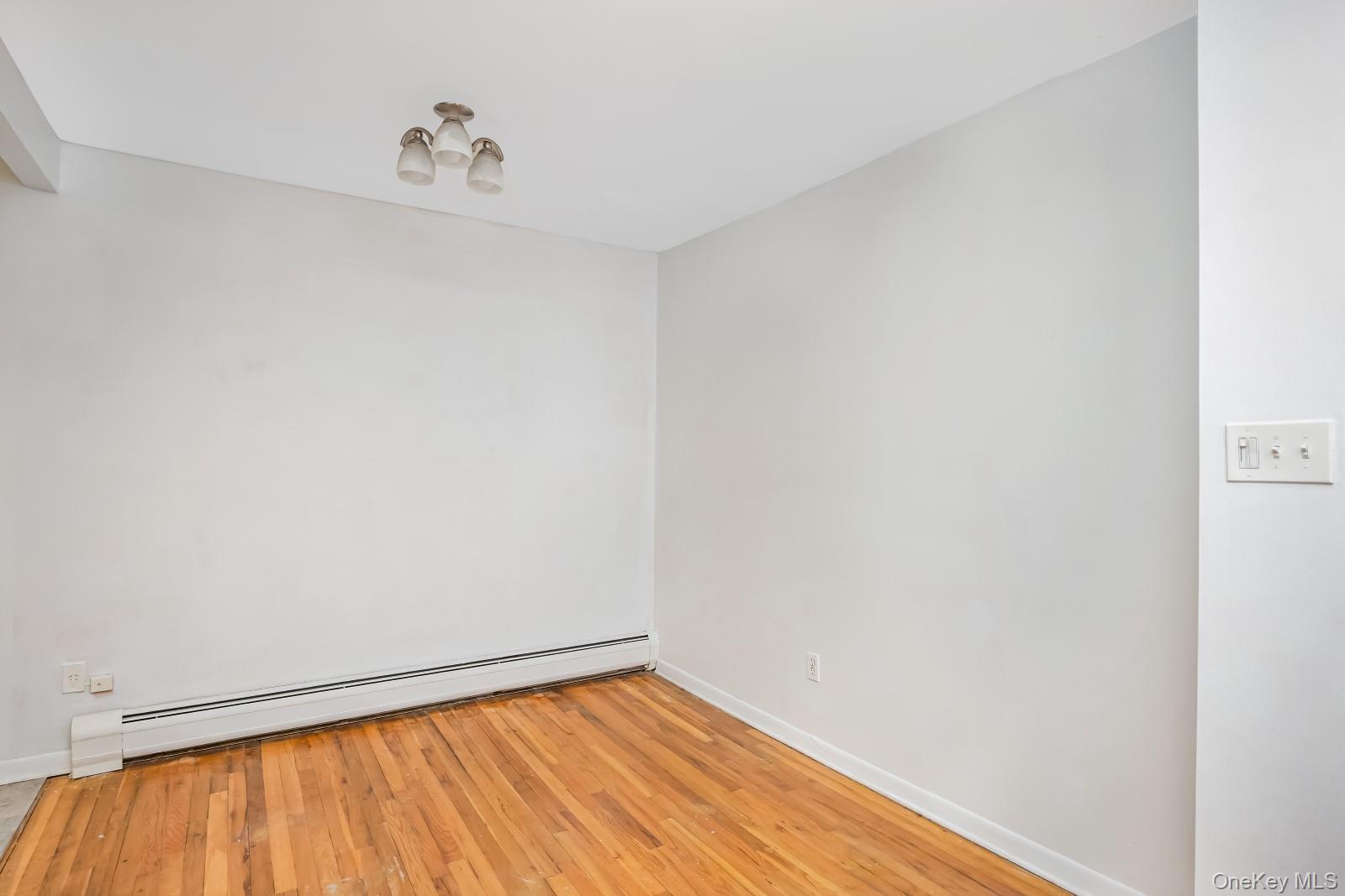 58-30 75th Street Property Photo 29