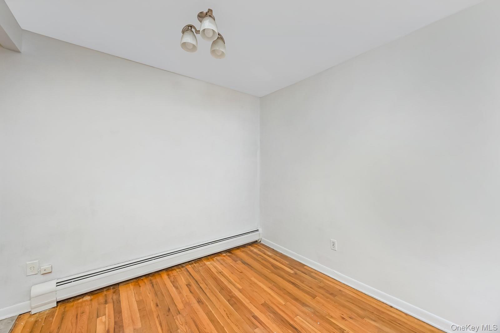 58-30 75th Street Property Photo 31