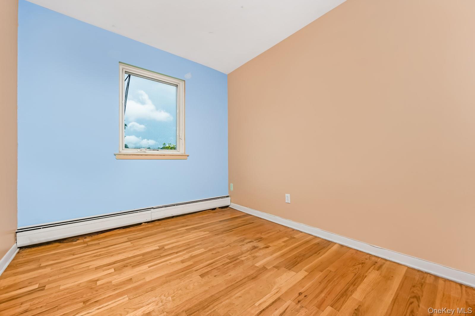 58-30 75th Street Property Photo 37