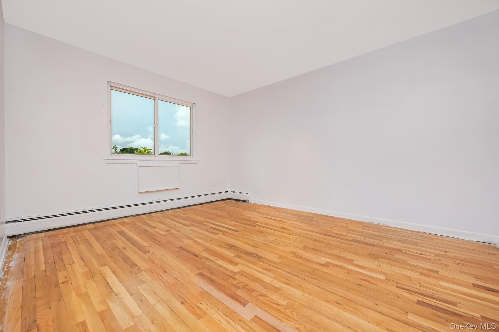 58-30 75th Street Property Photo 39