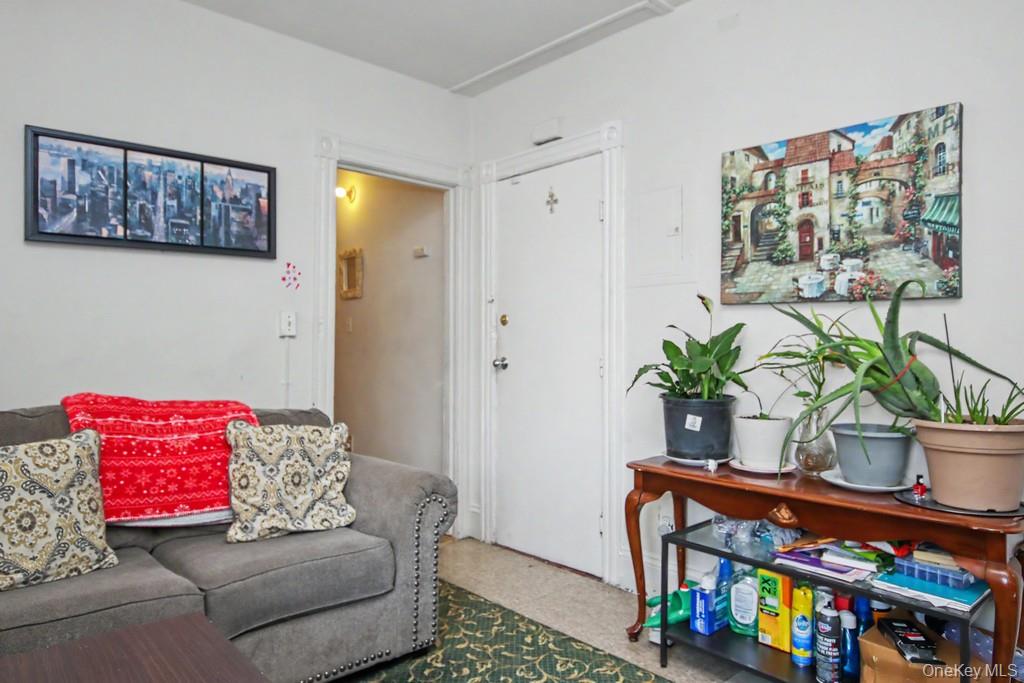 17 19 Edward Street Property Photo 5