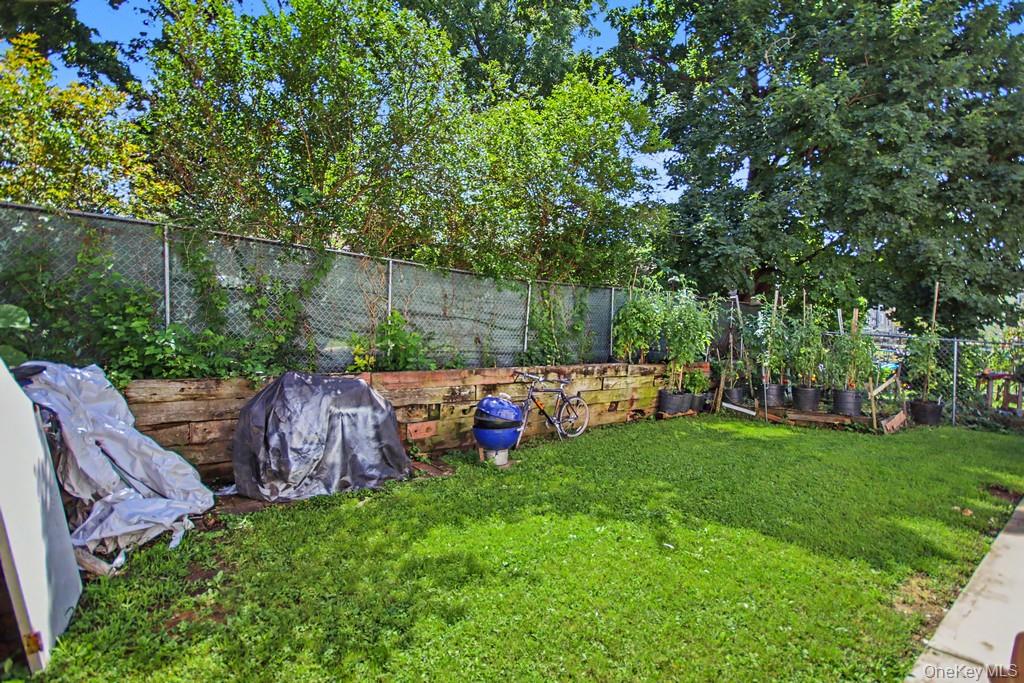 17 19 Edward Street Property Photo 37