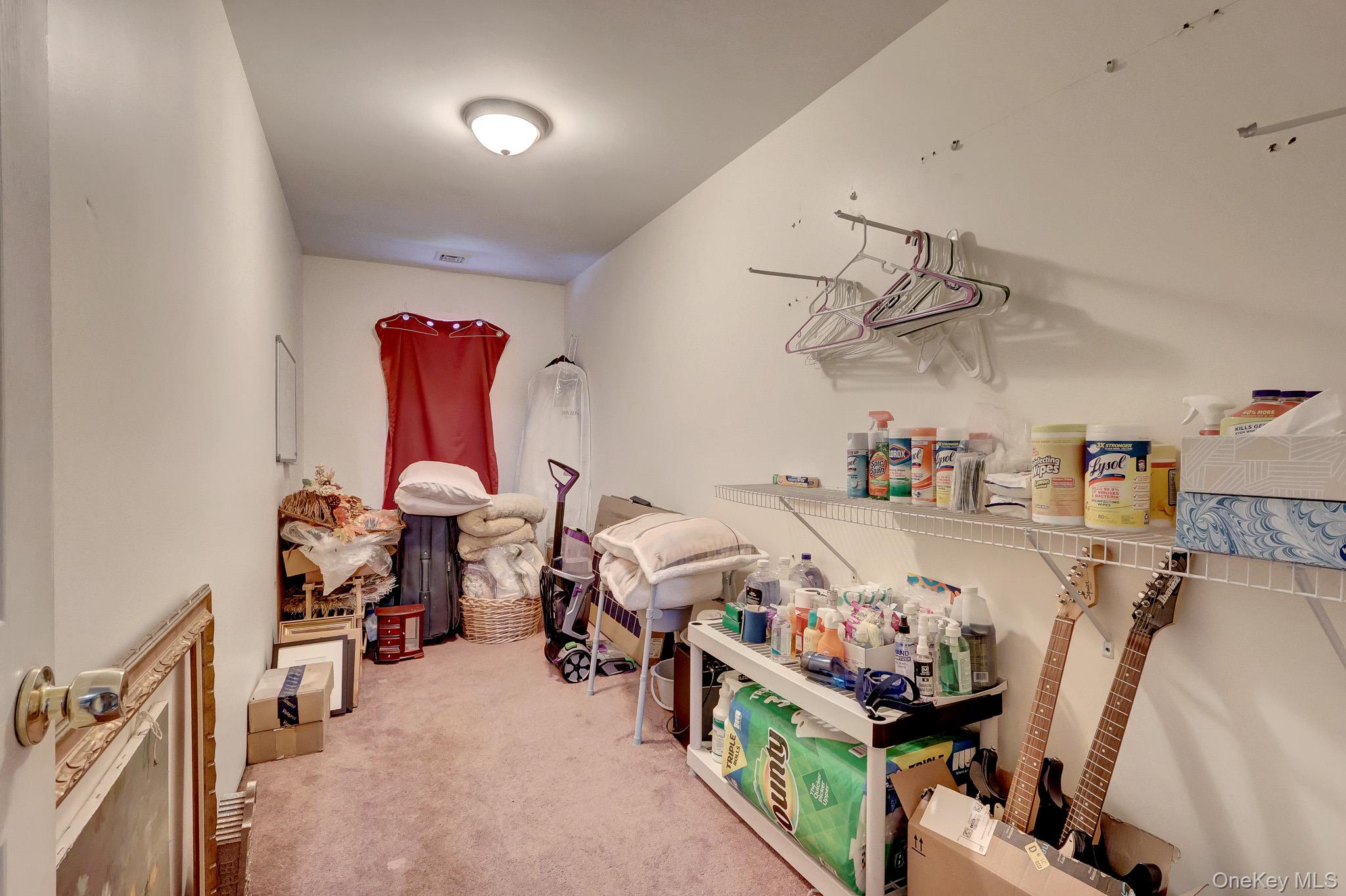 21 Morris Avenue Property Photo 28
