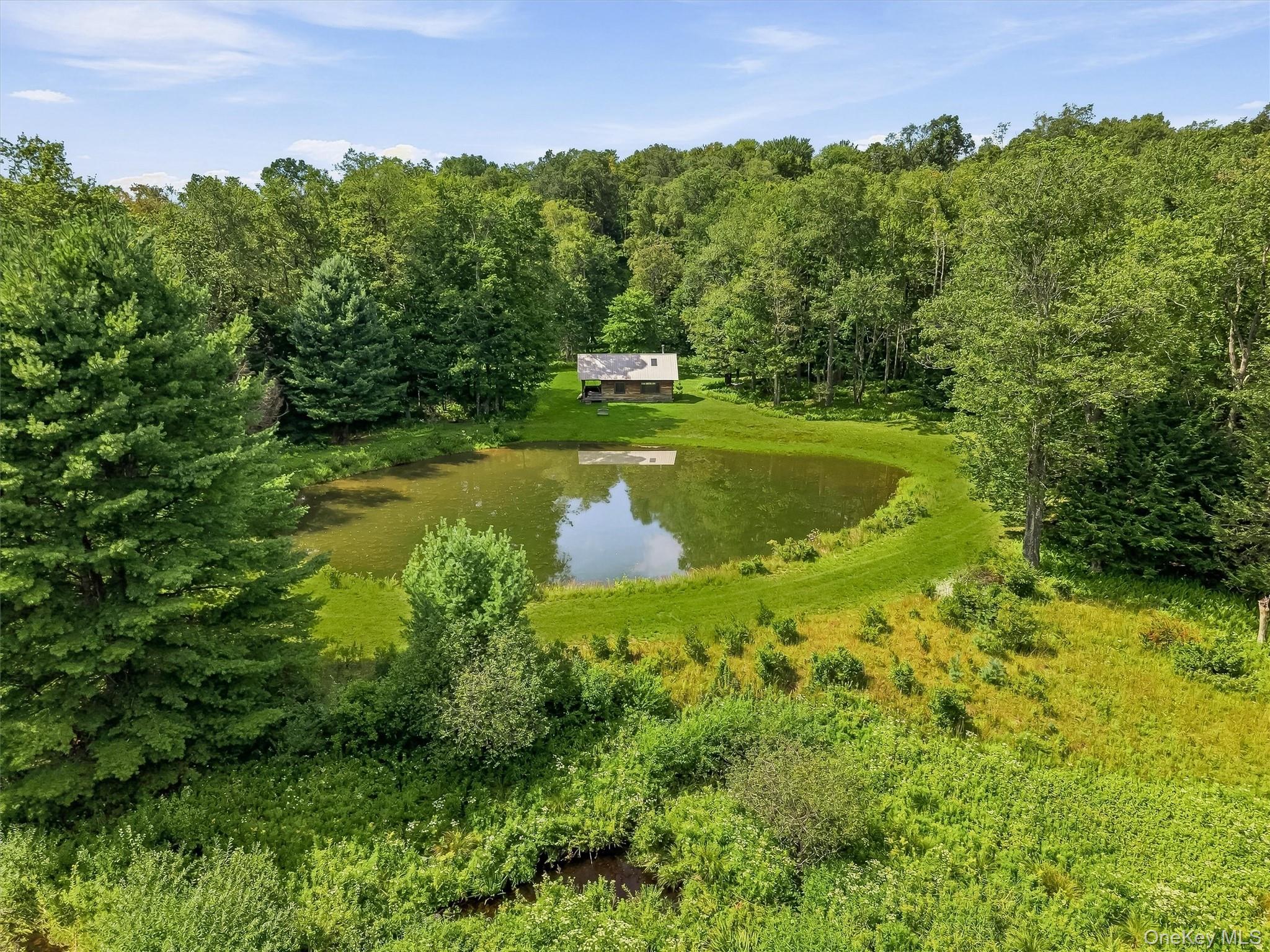 62 Laird Road Property Photo 42