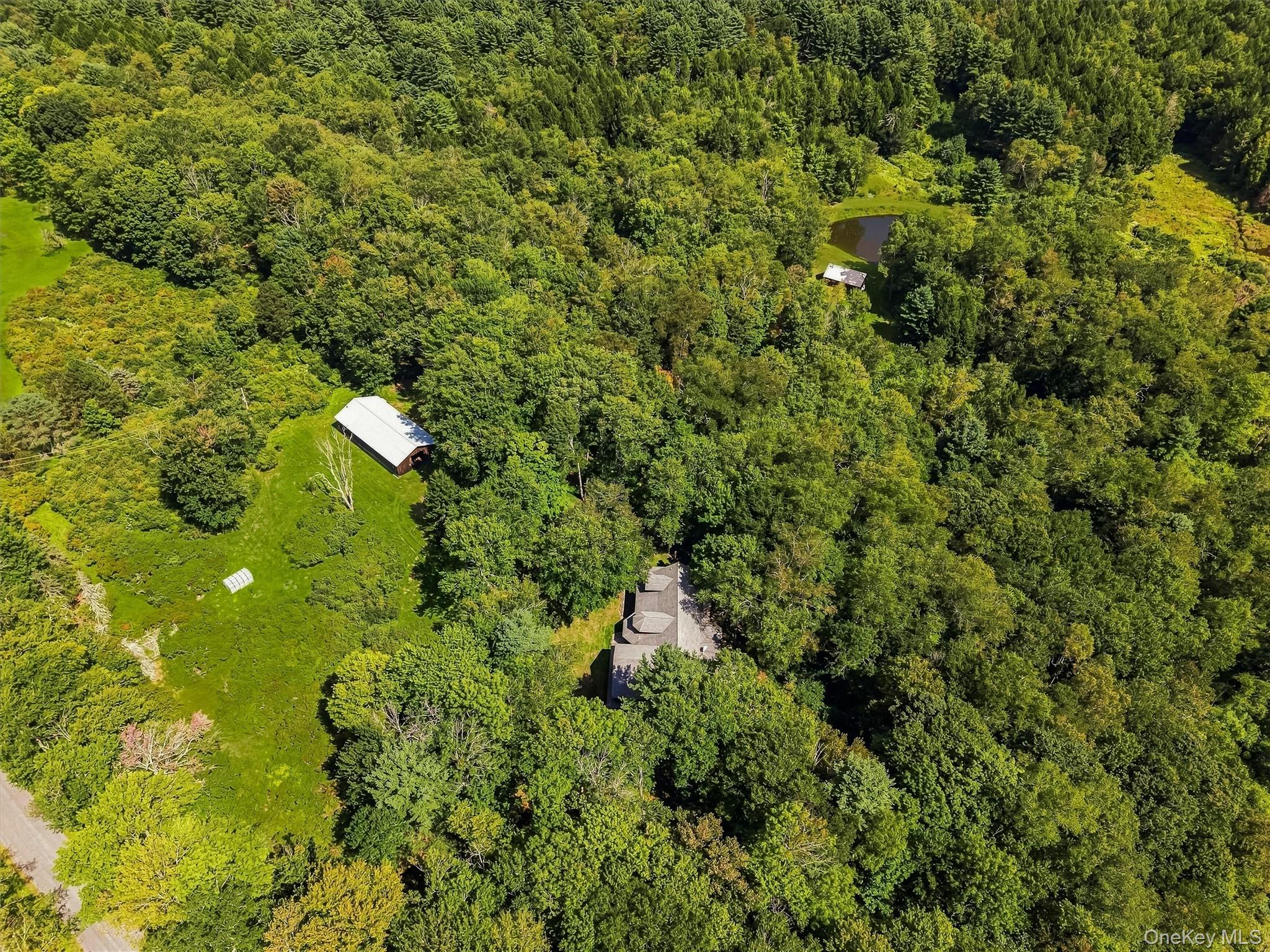 62 Laird Road Property Photo 46