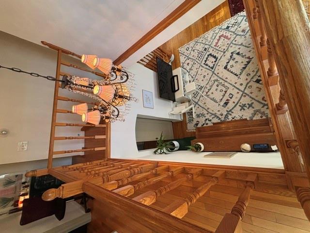 56-16 212 Street Property Photo 31