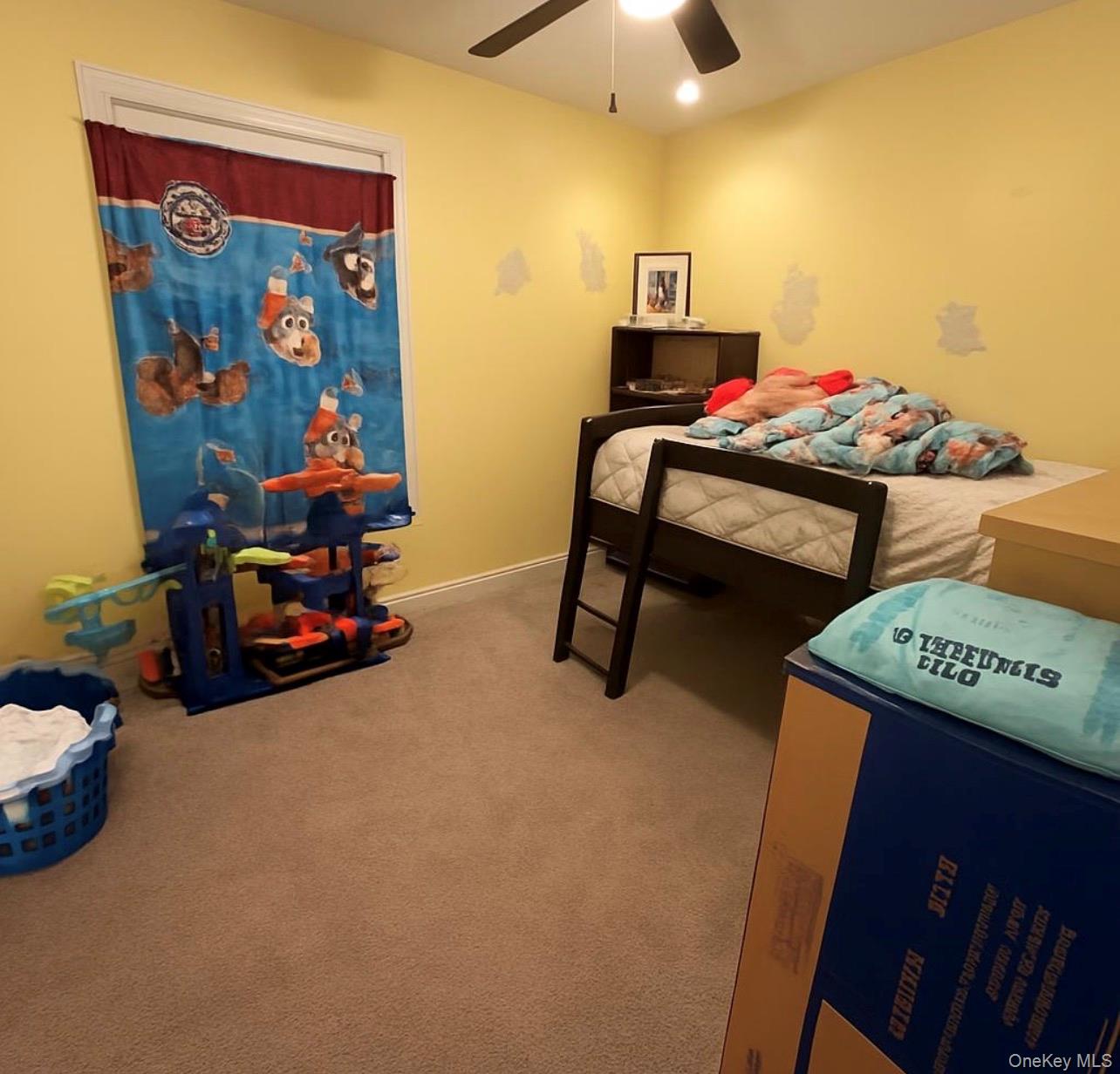 7 Carston Street Property Photo 14