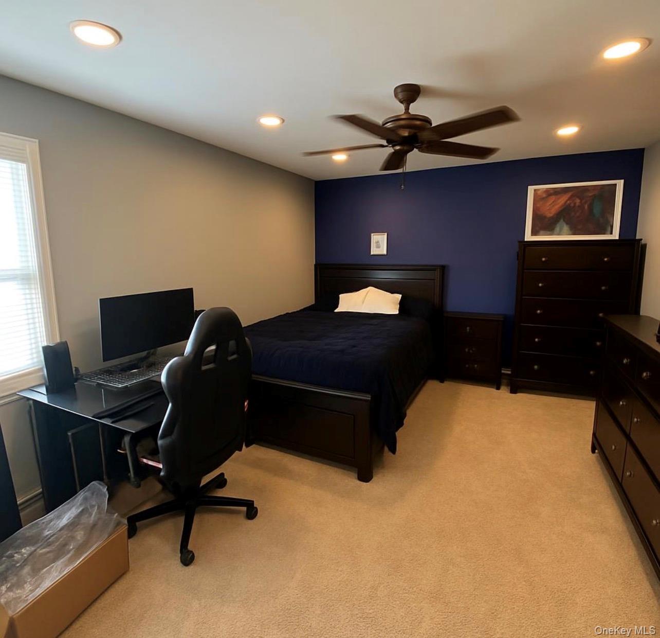 7 Carston Street Property Photo 16