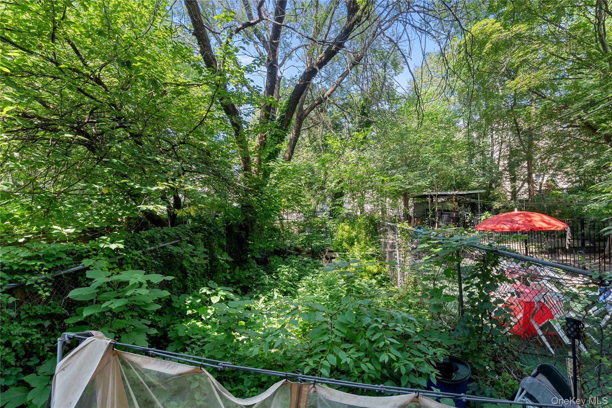 393 Park Place Property Photo 28