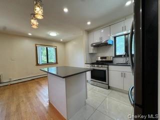 161-34 28th Avenue 3f Property Photo 12