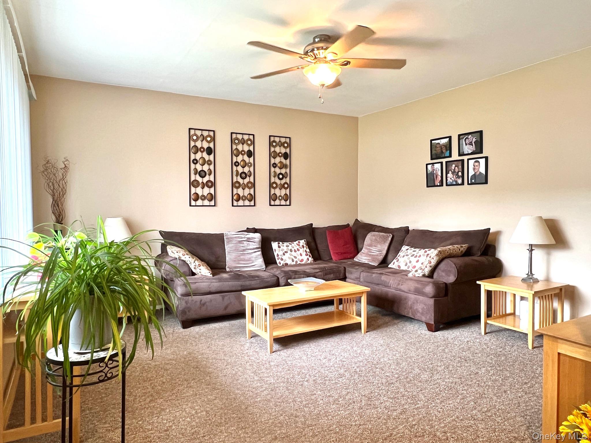 23 Franklin Street Property Photo 4