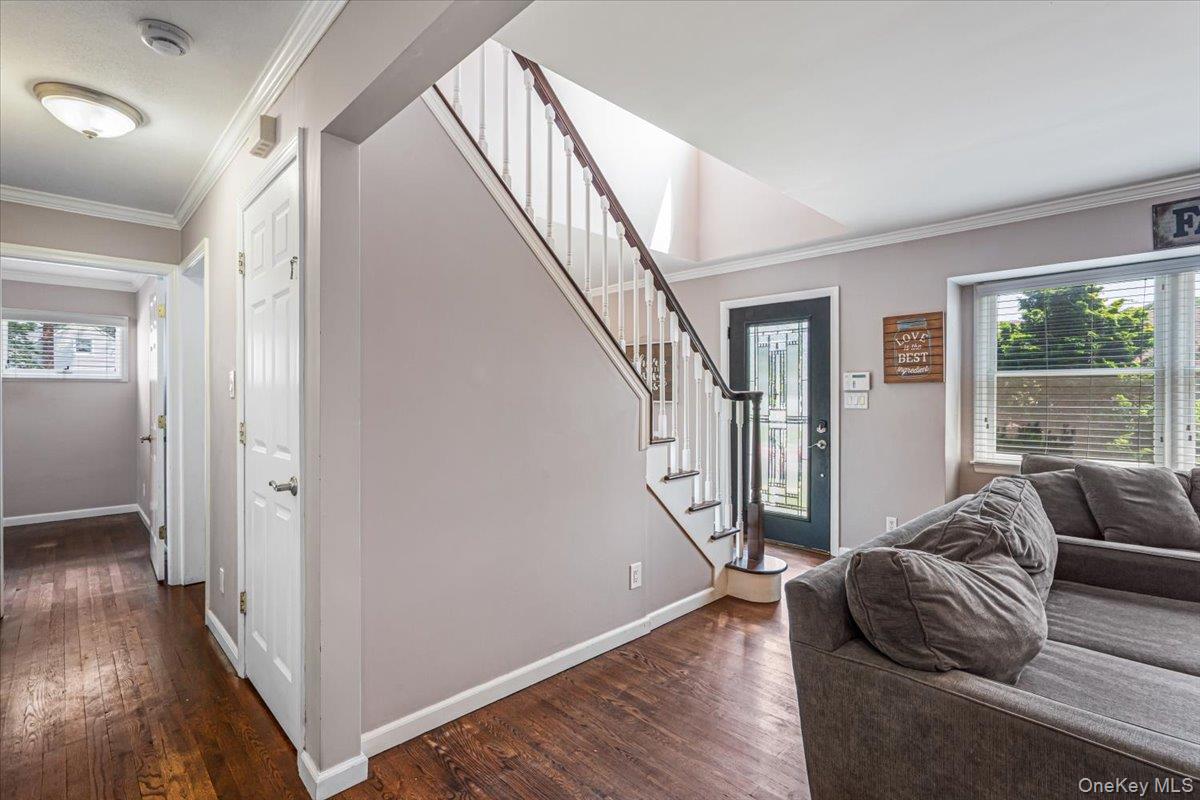 49 Brendan Avenue Property Photo 4