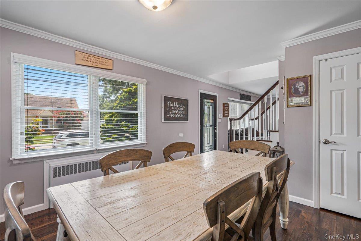 49 Brendan Avenue Property Photo 12