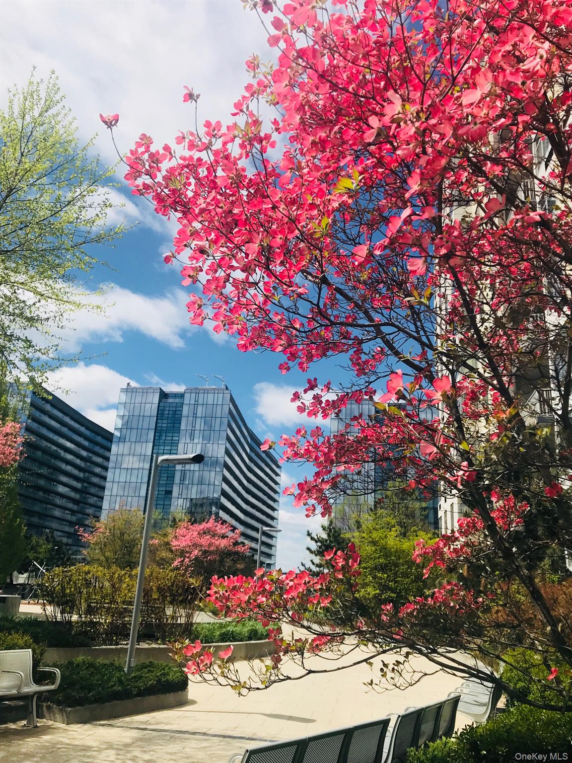 13103 40th Road 11K Property Photo 1