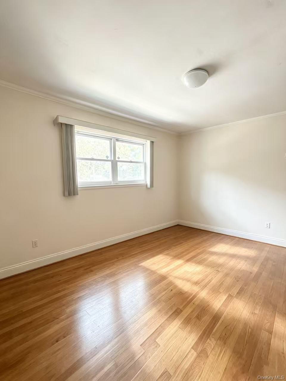 204-28 46th Avenue Property Photo 4