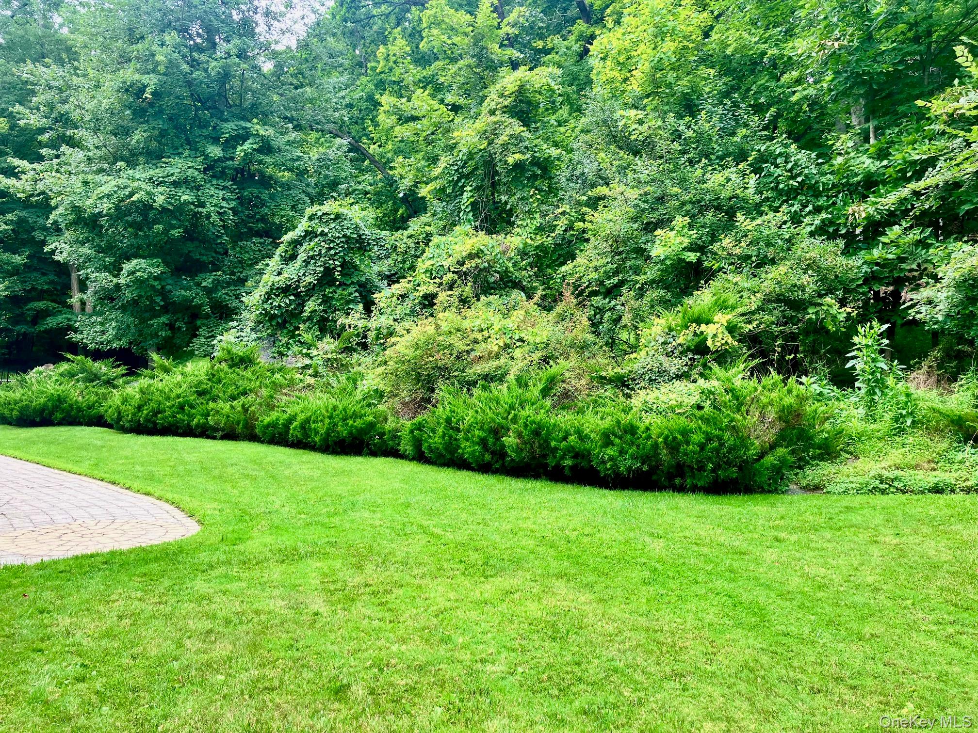 36 Carpenter Road Property Photo 42