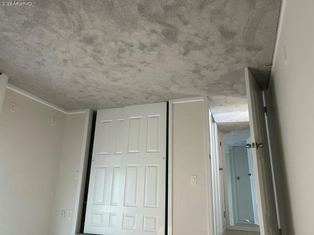 254-11 73rd Road Unit B Property Photo 6