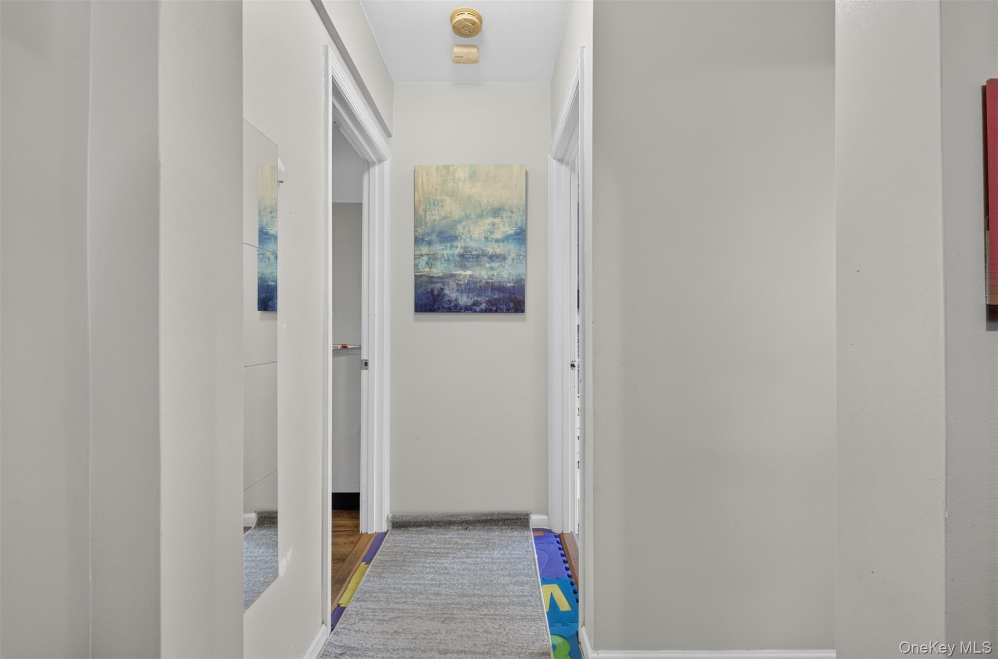 215-43 48th Ave 3e Property Photo 13